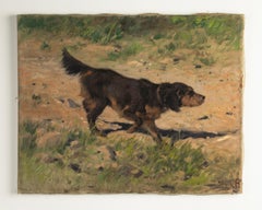 Pittura ad olio dei primi del Novecento - Cane Setter di Arthur Heyer
