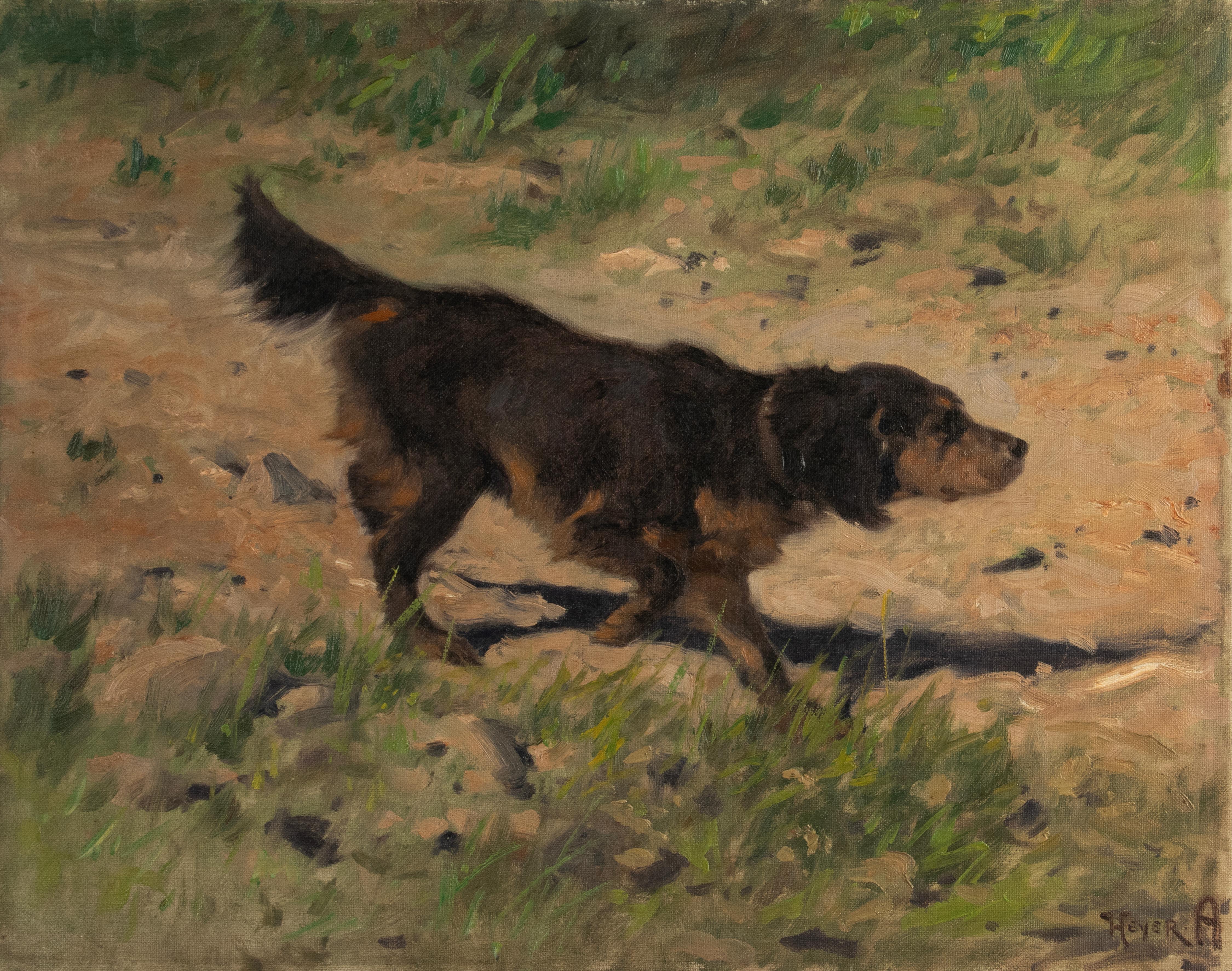 German Early 20th Century Oil Painting - Gordon Setter Dog - by Arthur Heyer For Sale