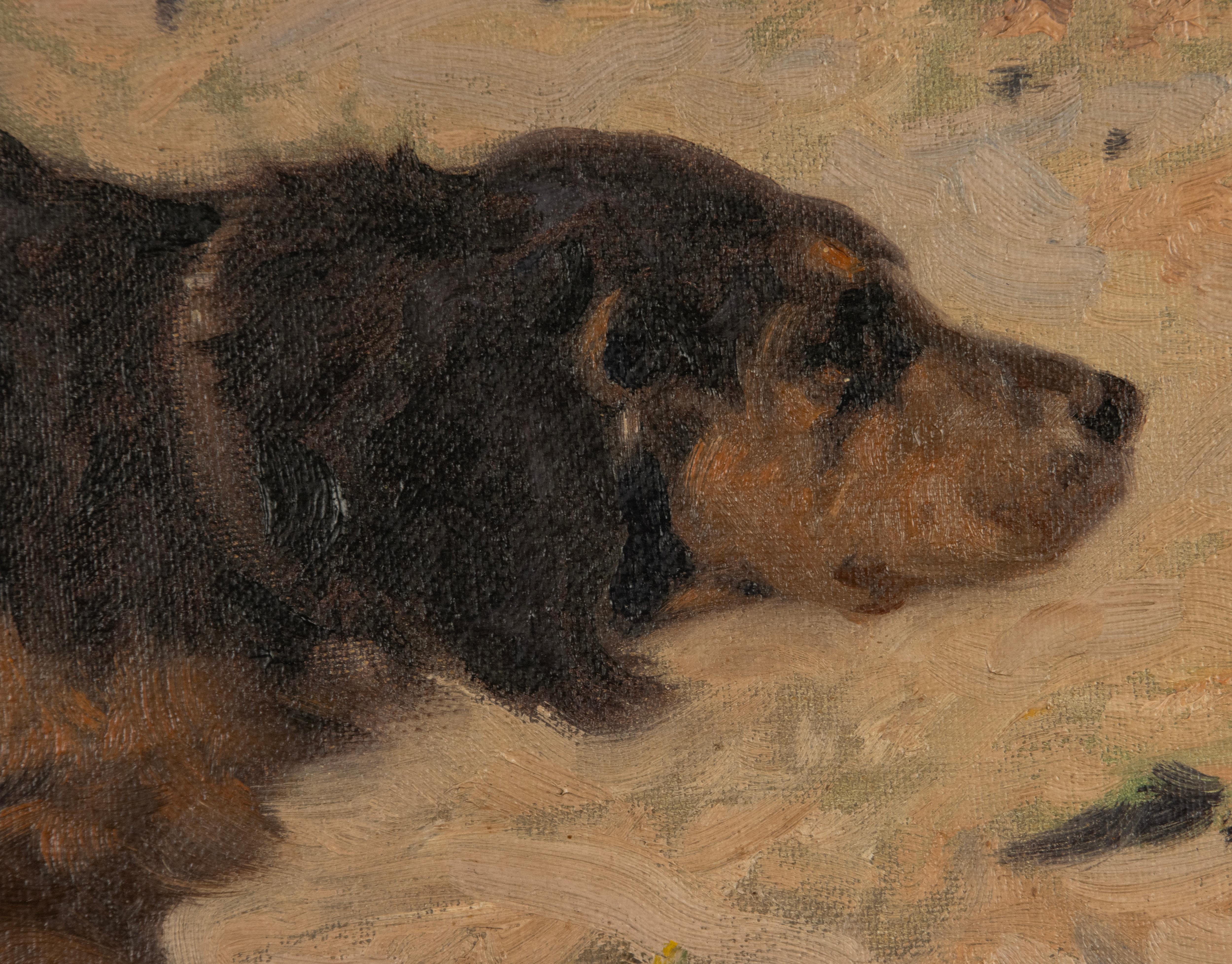 Early 20th Century Oil Painting - Gordon Setter Dog - by Arthur Heyer In Good Condition For Sale In Casteren, Noord-Brabant