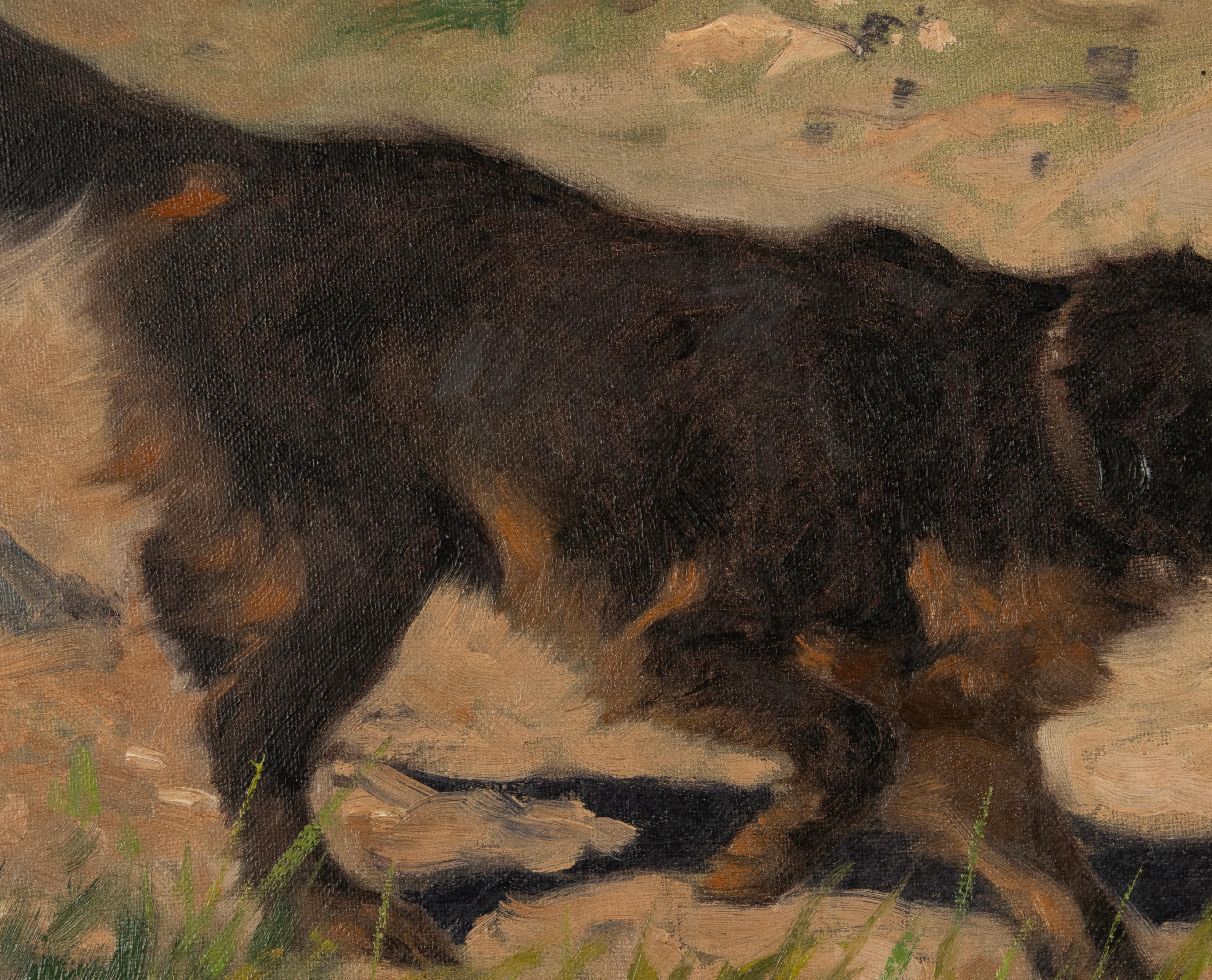 Early 20th Century Oil Painting - Gordon Setter Dog - by Arthur Heyer For Sale 1