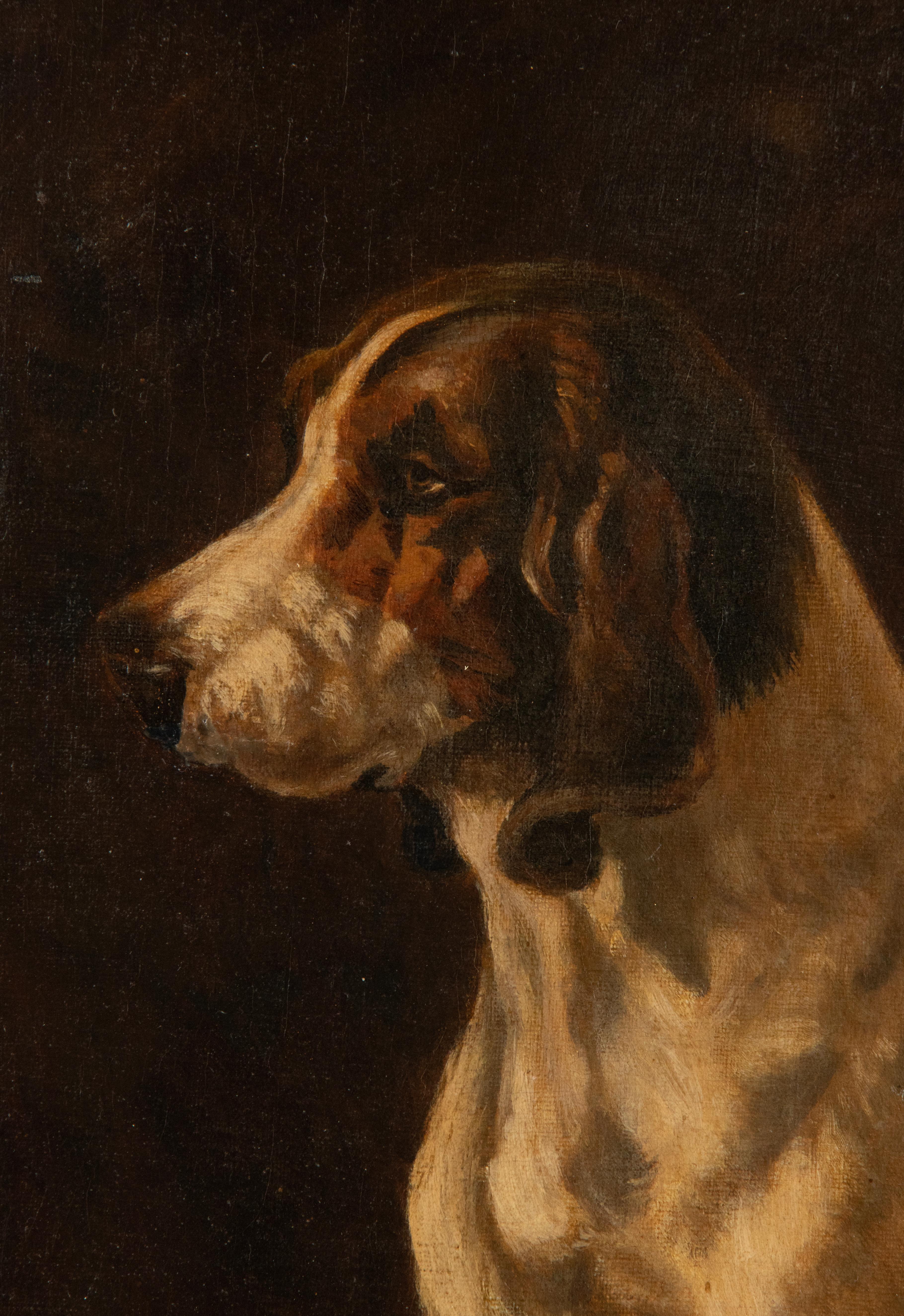 Early 20th Century Oil Painting Irish Setter Dog in a Stable In Good Condition For Sale In Casteren, Noord-Brabant