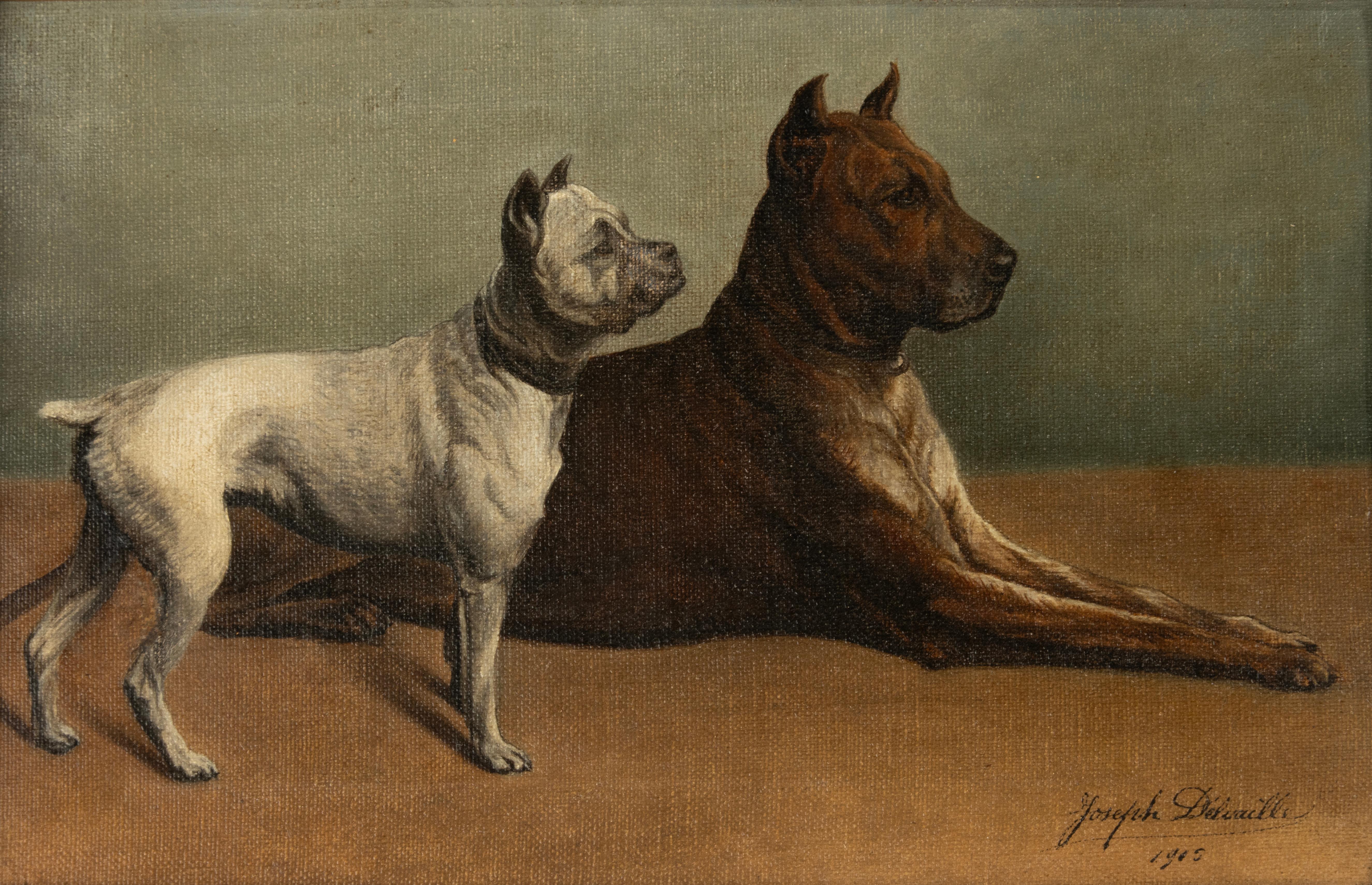 A charming early 20th-century oil on canvas by Joseph Delvaille, signed and dated 1905, depicting two dogs in profile – a standing white terrier-type and a seated brown mastiff-type. The animals are rendered with strong anatomical precision and