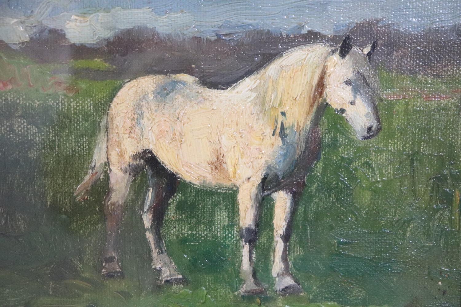 Beautiful oil painting on board 1920s. A splendid white horse. Signed by artist Edwin Ganz. Emile Edwin Ganz born in Switzerland in Zurich on 3 October 1871 and died in Belgium in Meise on 20 August 1948 is a Swiss-Belgian painter, specialized in