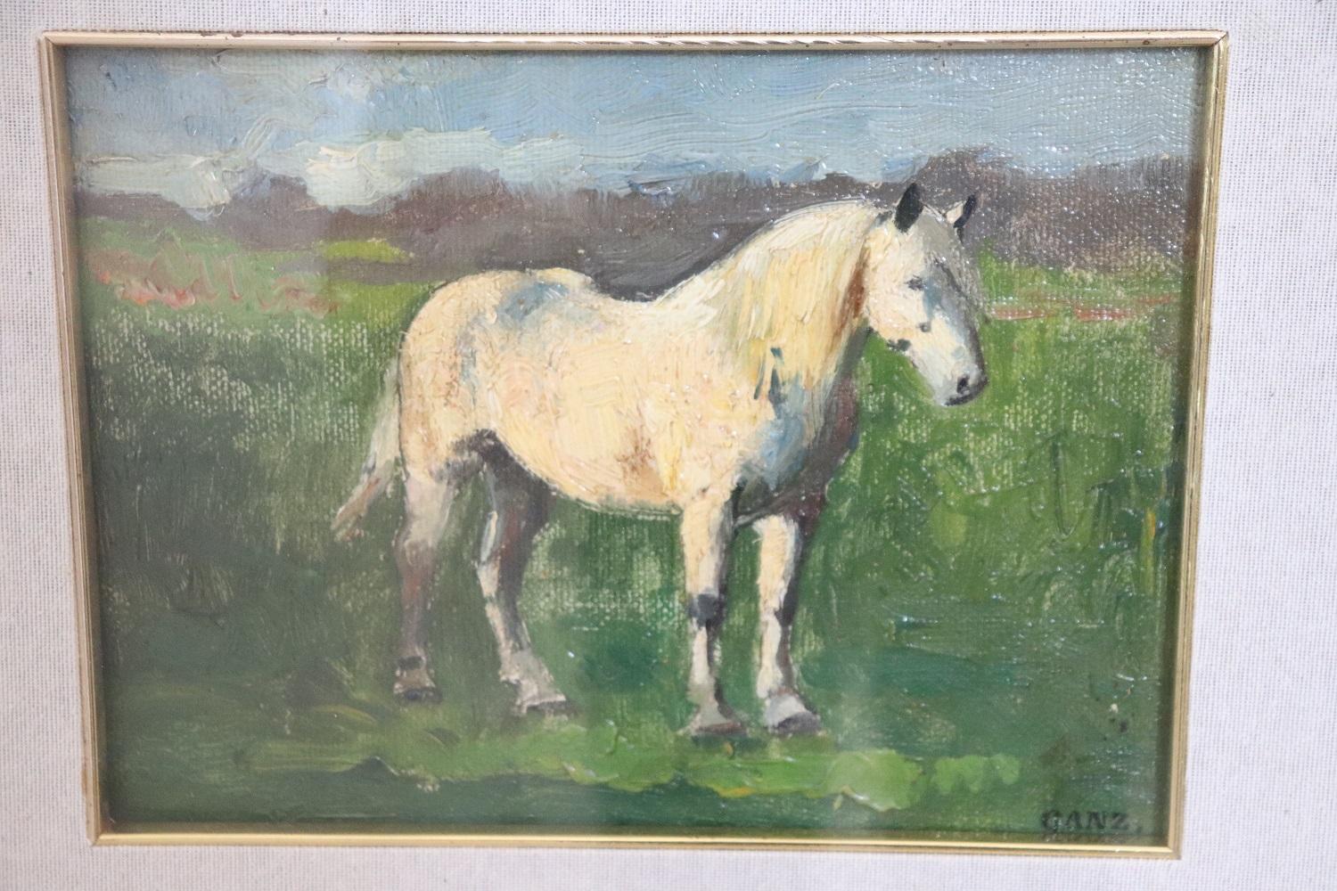 Oiled Early 20th Century Oil Painting on Board, White Horse, Signed by Edwin Ganz  For Sale