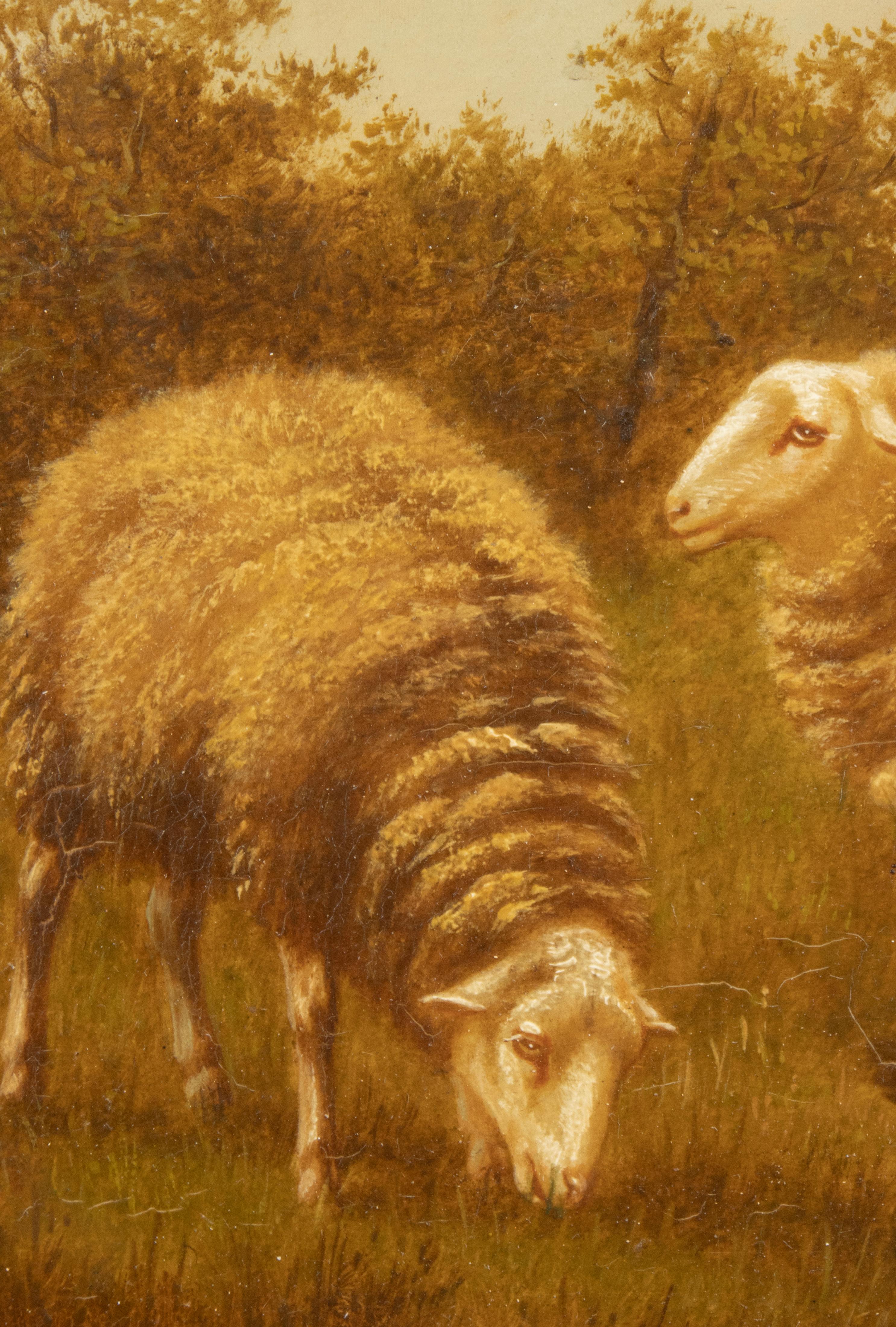 Peinture à l'huile sur panneau du début du 20e siècle - Moutons dans un champ - Arthur de Waerhert en vente 2