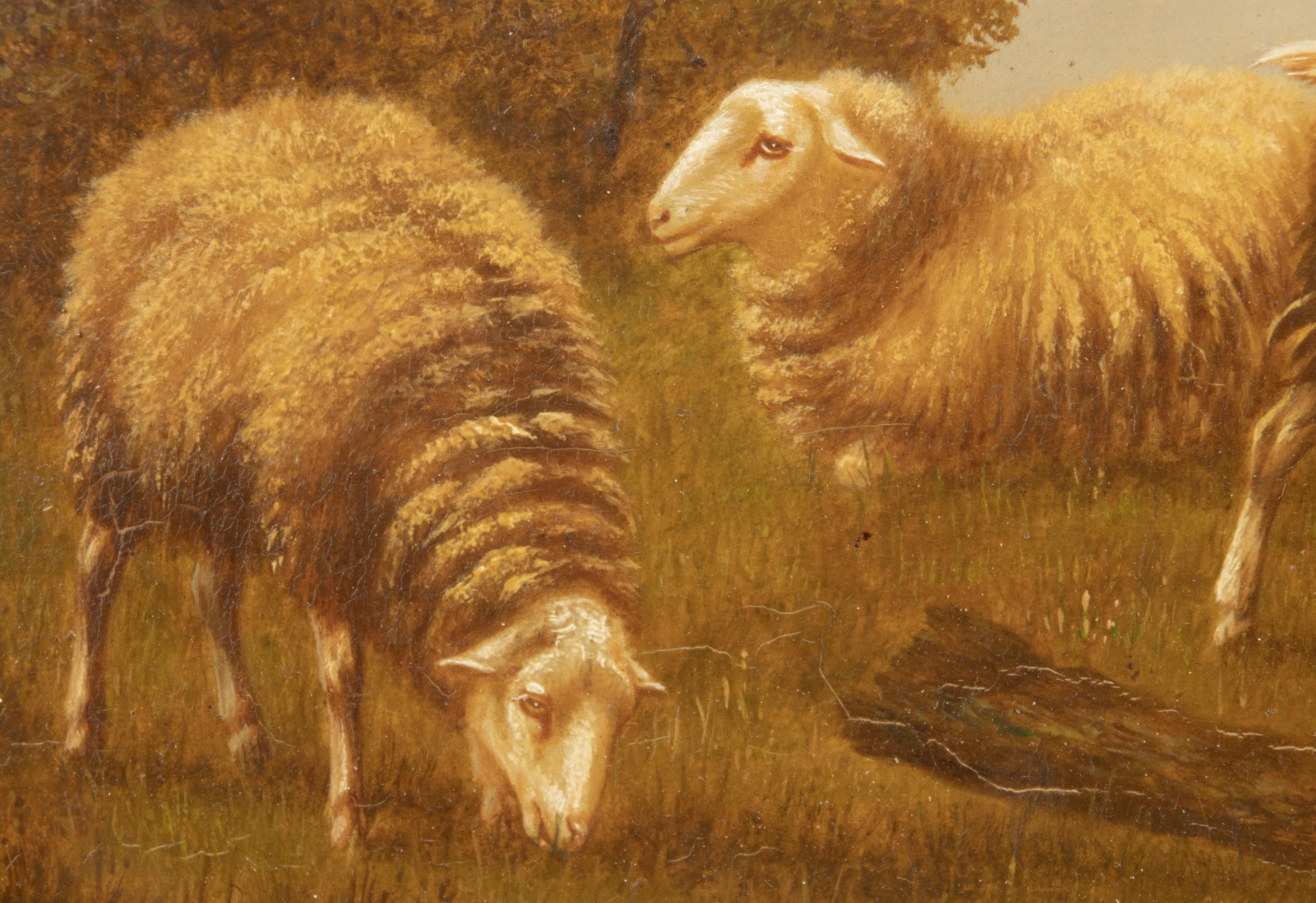 Peinture à l'huile sur panneau du début du 20e siècle - Moutons dans un champ - Arthur de Waerhert en vente 5