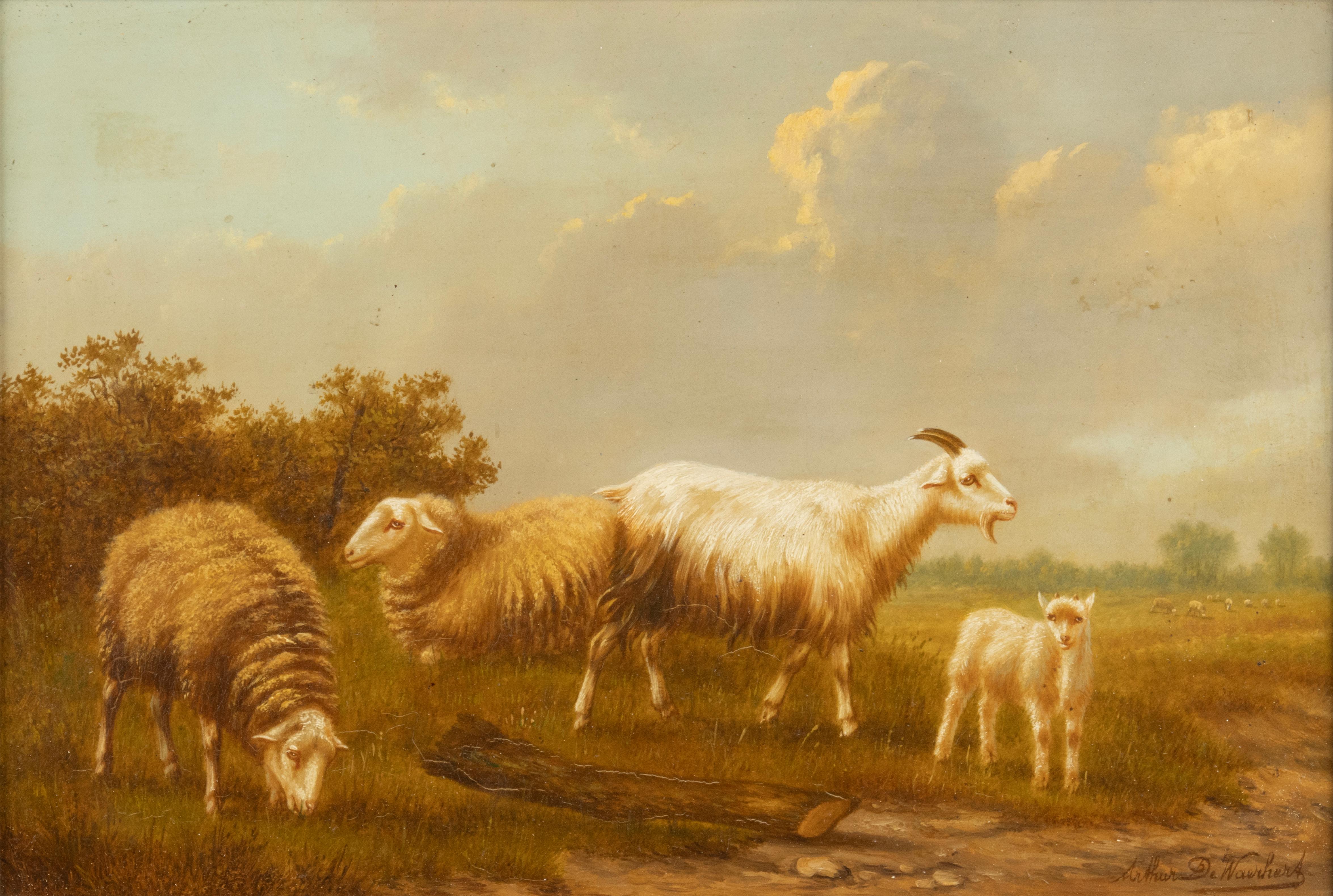 Une douce peinture ancienne, huile sur panneau de chêne, représentant des moutons dans les champs. 
Il s'agit d'une peinture du célèbre artiste flamand Arthur de Waerhert. Il a vécu de 1881 à 1944 et a surtout peint des moutons et d'autres animaux.