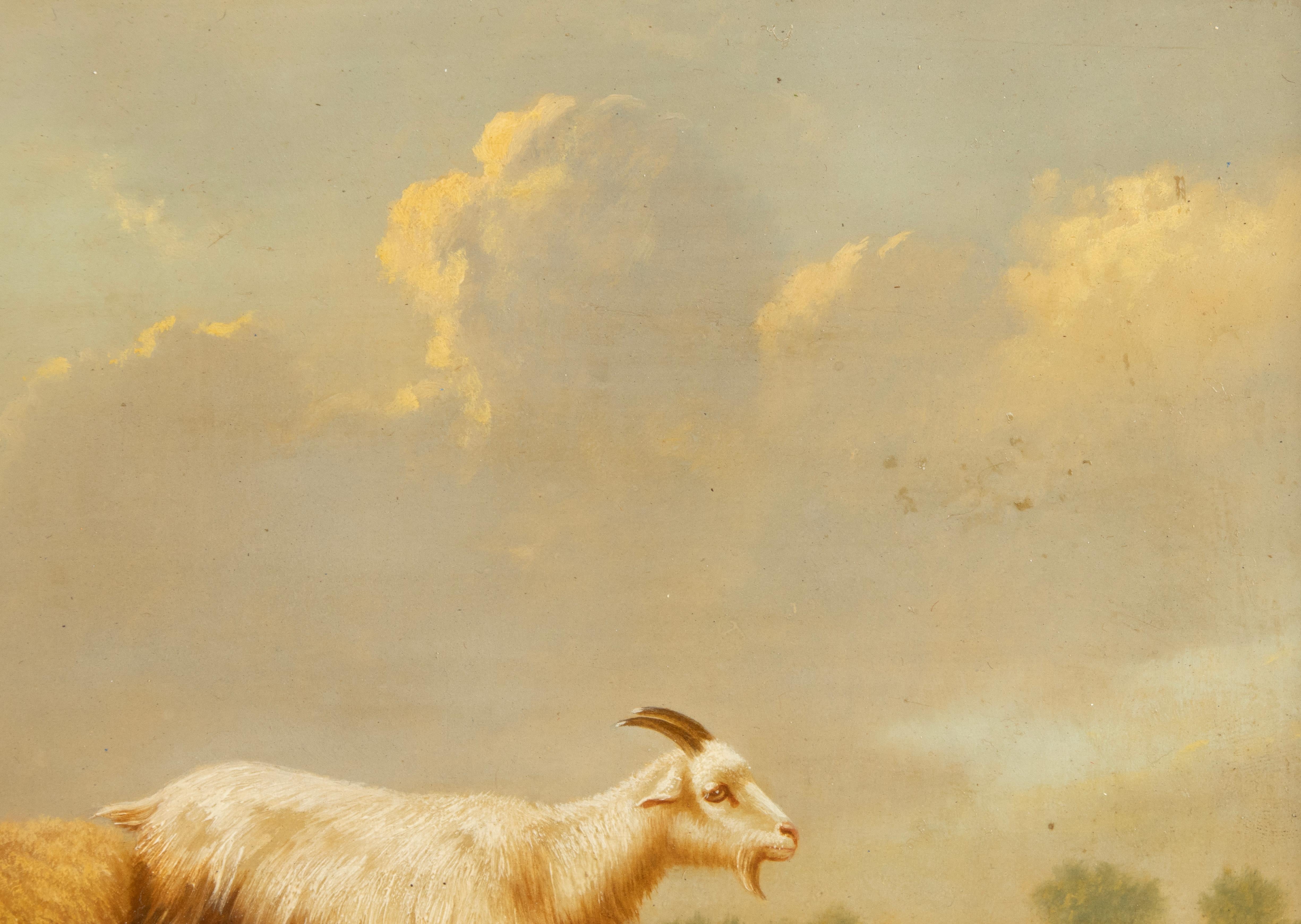 Peinture à l'huile sur panneau du début du 20e siècle - Moutons dans un champ - Arthur de Waerhert Bon état - En vente à Casteren, Noord-Brabant