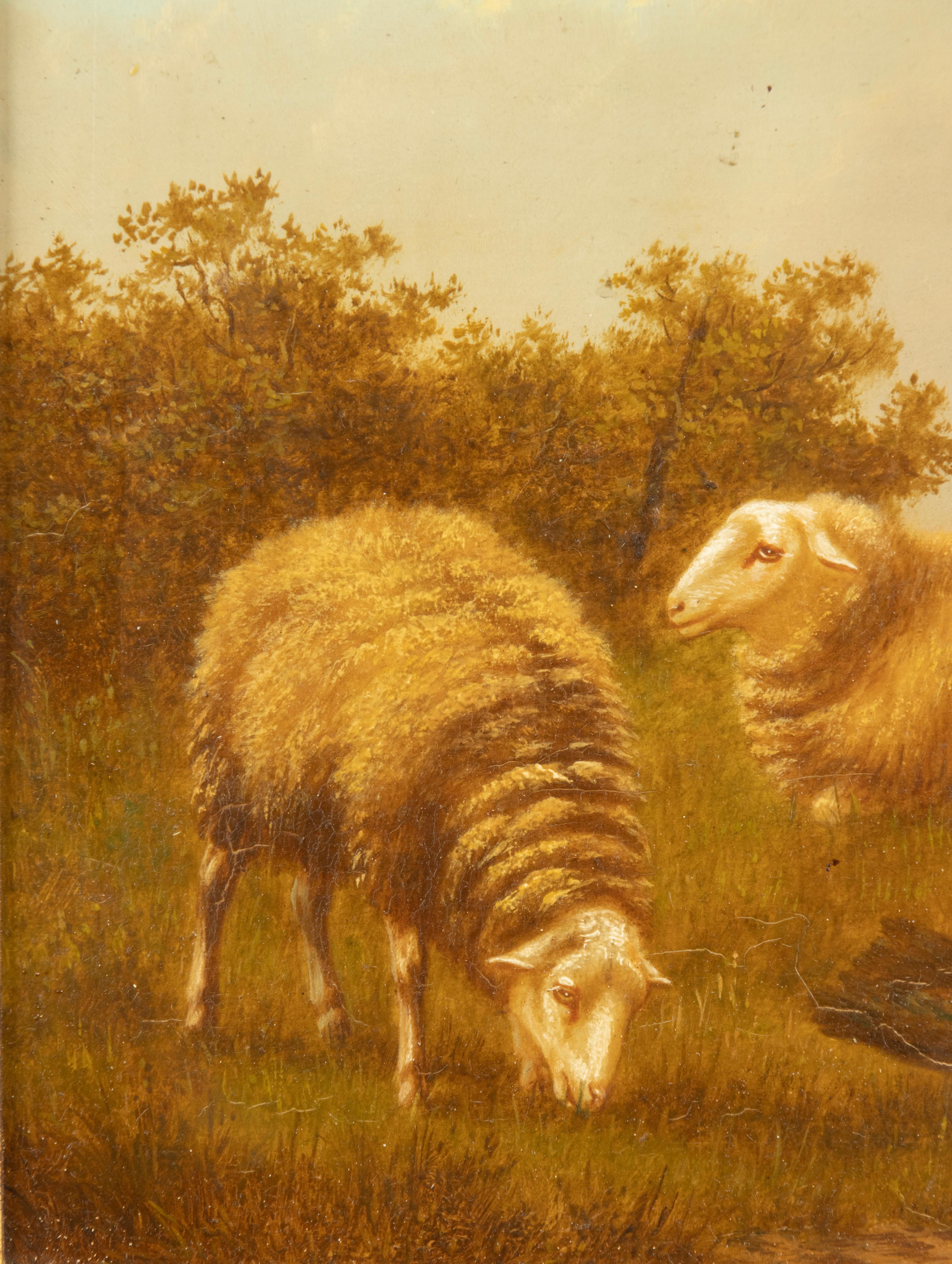 Début du 20ème siècle Peinture à l'huile sur panneau du début du 20e siècle - Moutons dans un champ - Arthur de Waerhert en vente