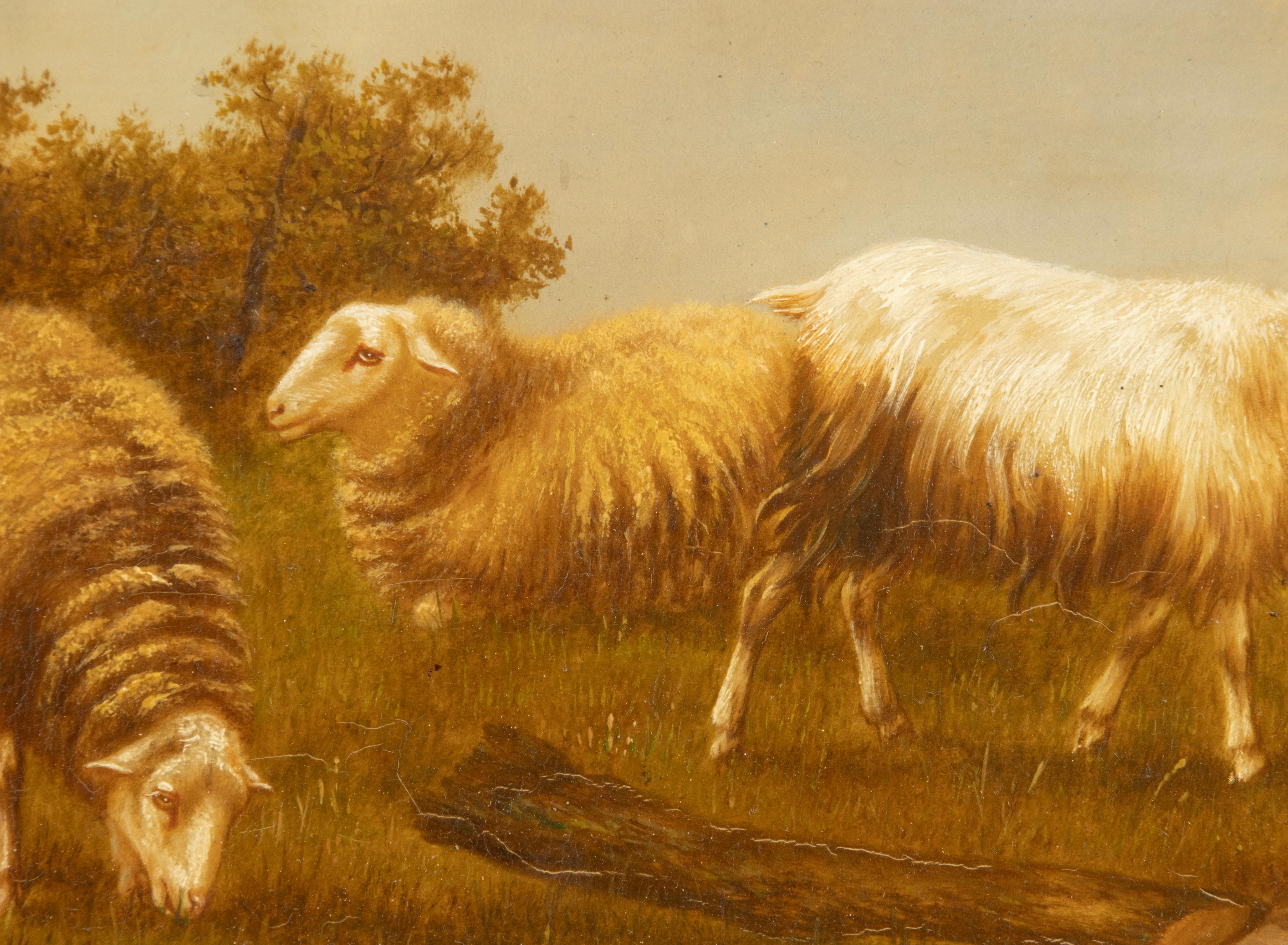 Bois Peinture à l'huile sur panneau du début du 20e siècle - Moutons dans un champ - Arthur de Waerhert en vente