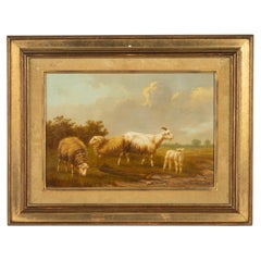 Antique Early 20th Century Oil Painting on Panel - Sheep in Field - Arthur de Waerhert 