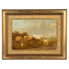 Pittura a olio su pannello dei primi del Novecento - Pecore nel campo - Arthur de Waerhert