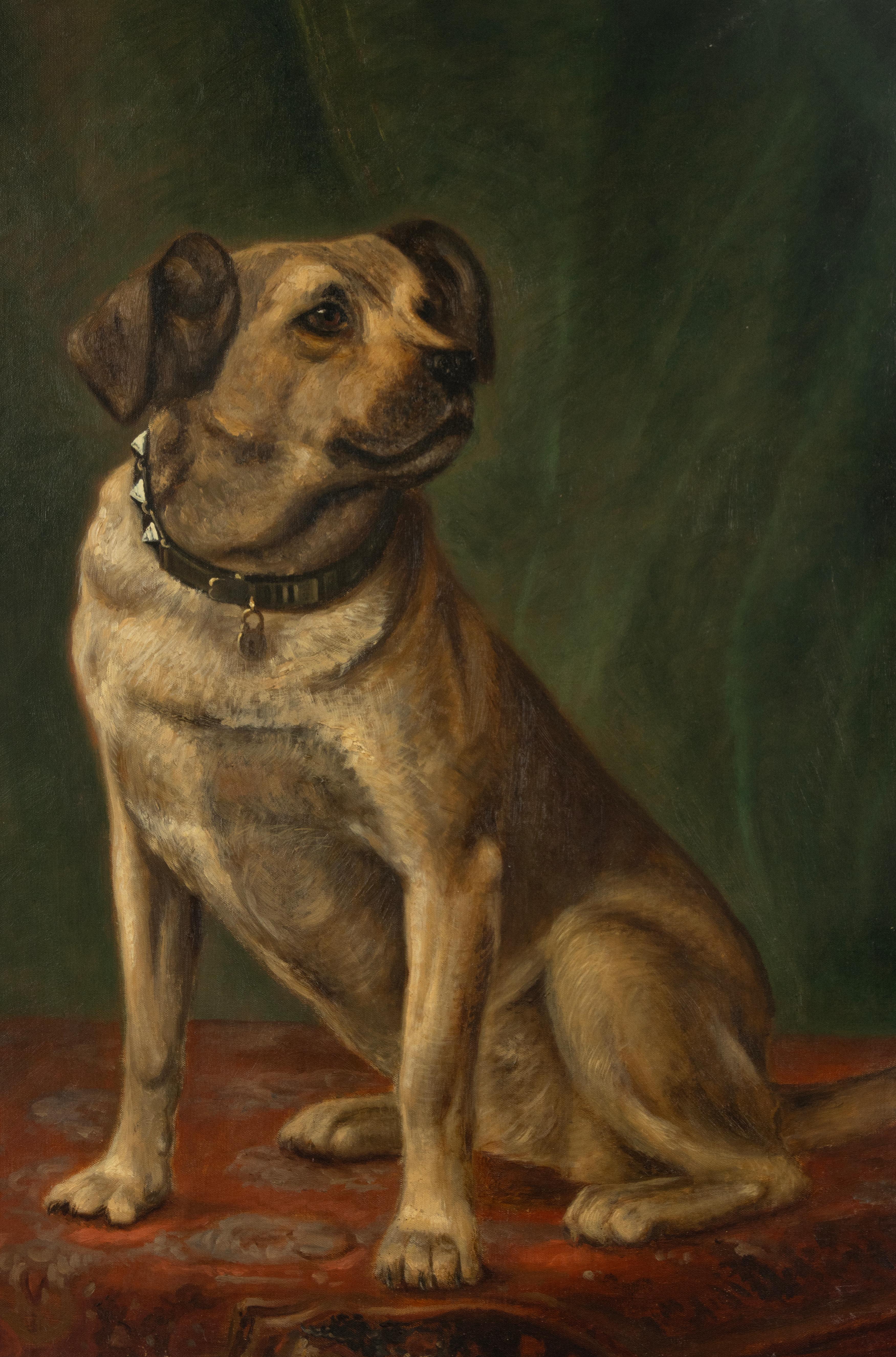 Dutch Early 20th Century Oil Painting - Portrait of a Dog