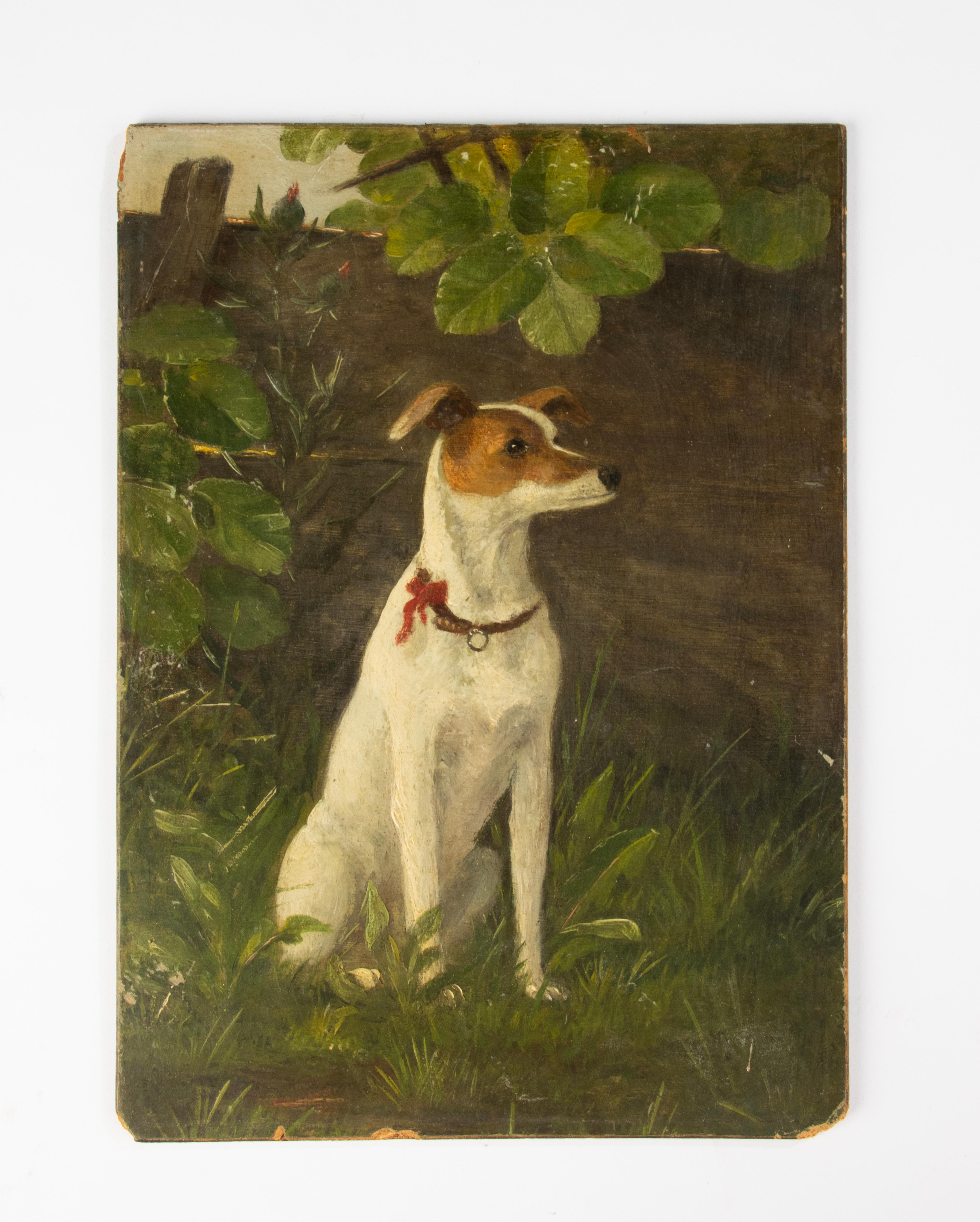 Hand-Painted Early 20th Century Oil Painting - Portrait of a Dog