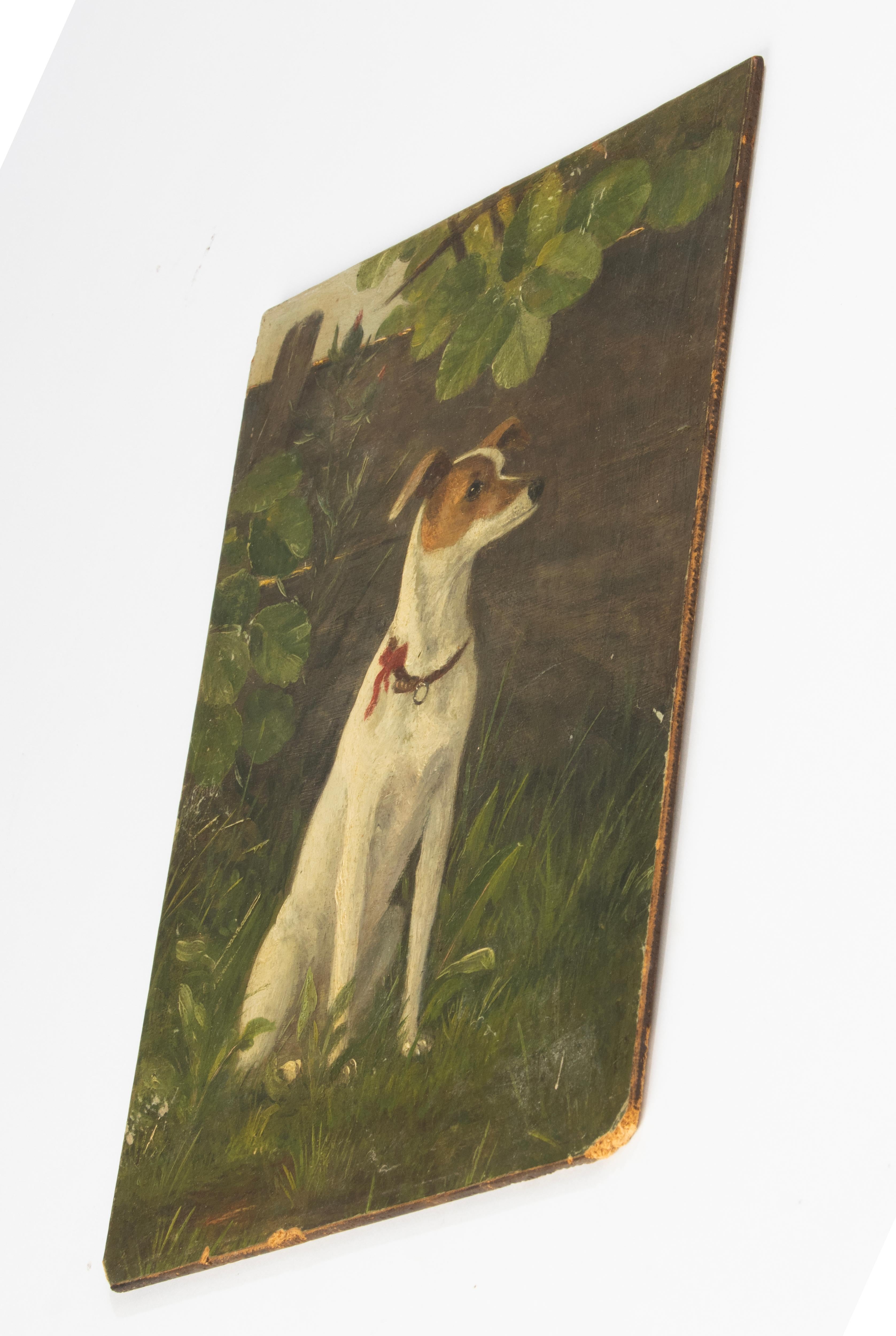 Early 20th Century Oil Painting - Portrait of a Dog In Good Condition In Casteren, Noord-Brabant