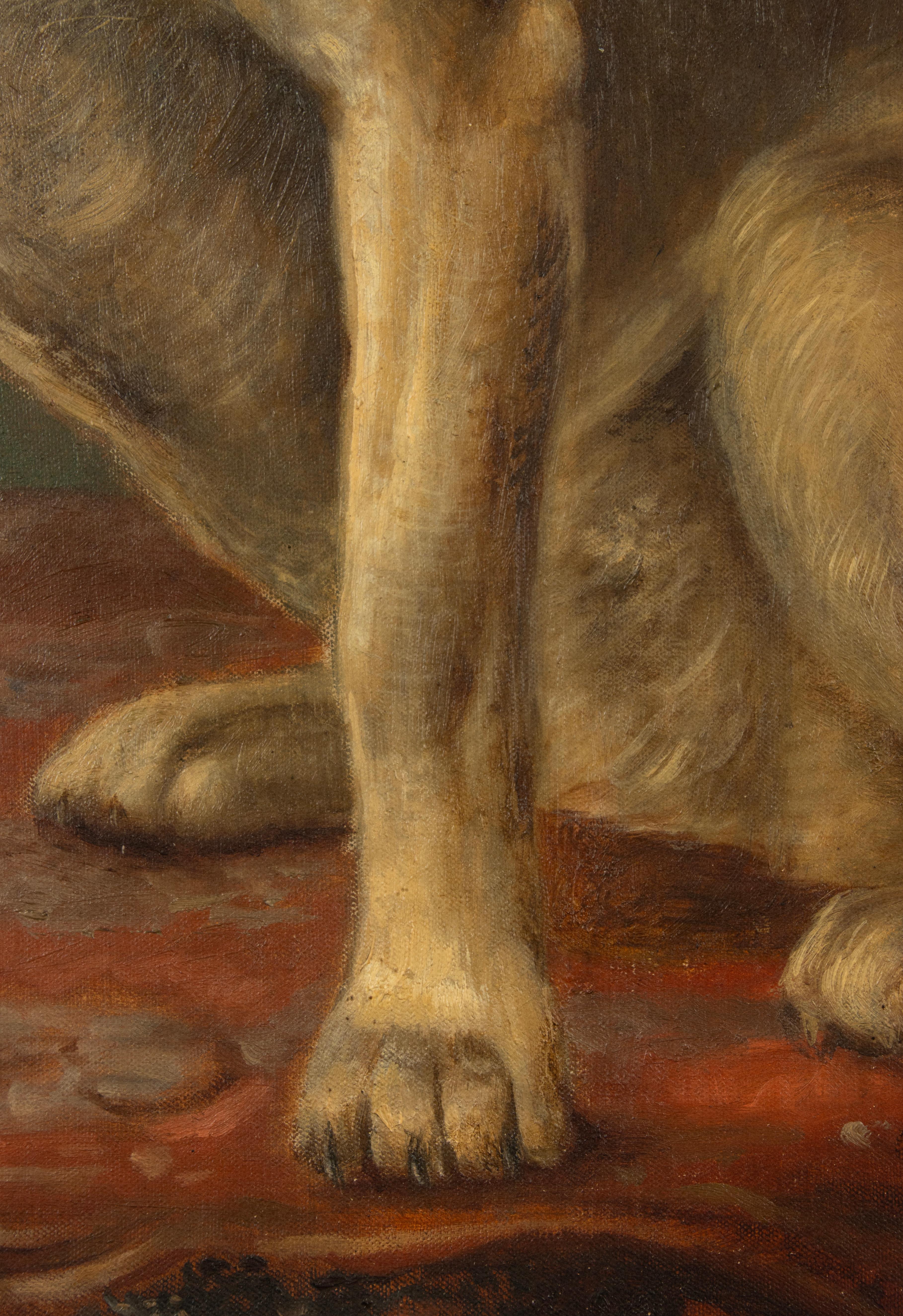 Early 20th Century Oil Painting - Portrait of a Dog In Good Condition In Casteren, Noord-Brabant