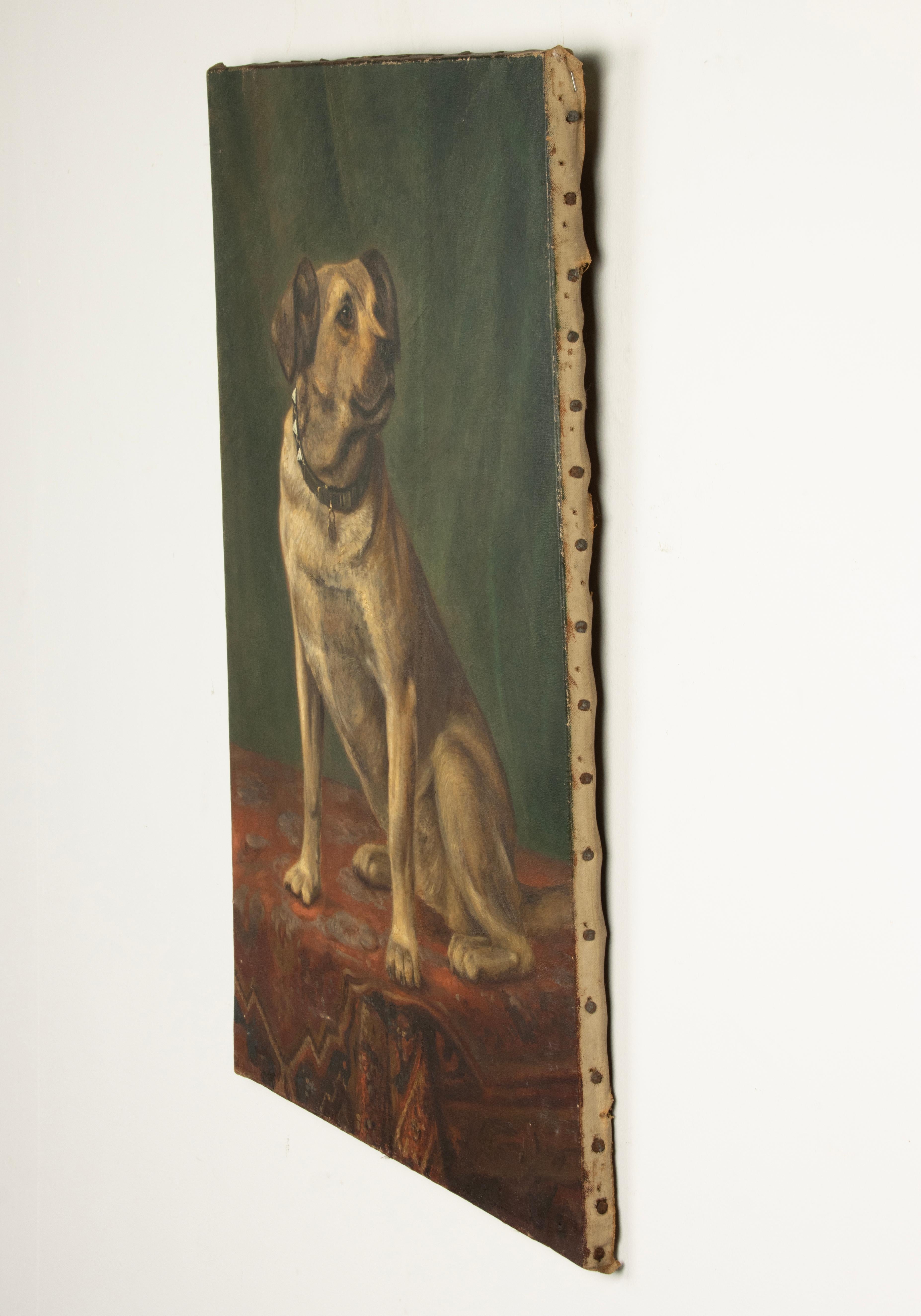 Canvas Early 20th Century Oil Painting - Portrait of a Dog
