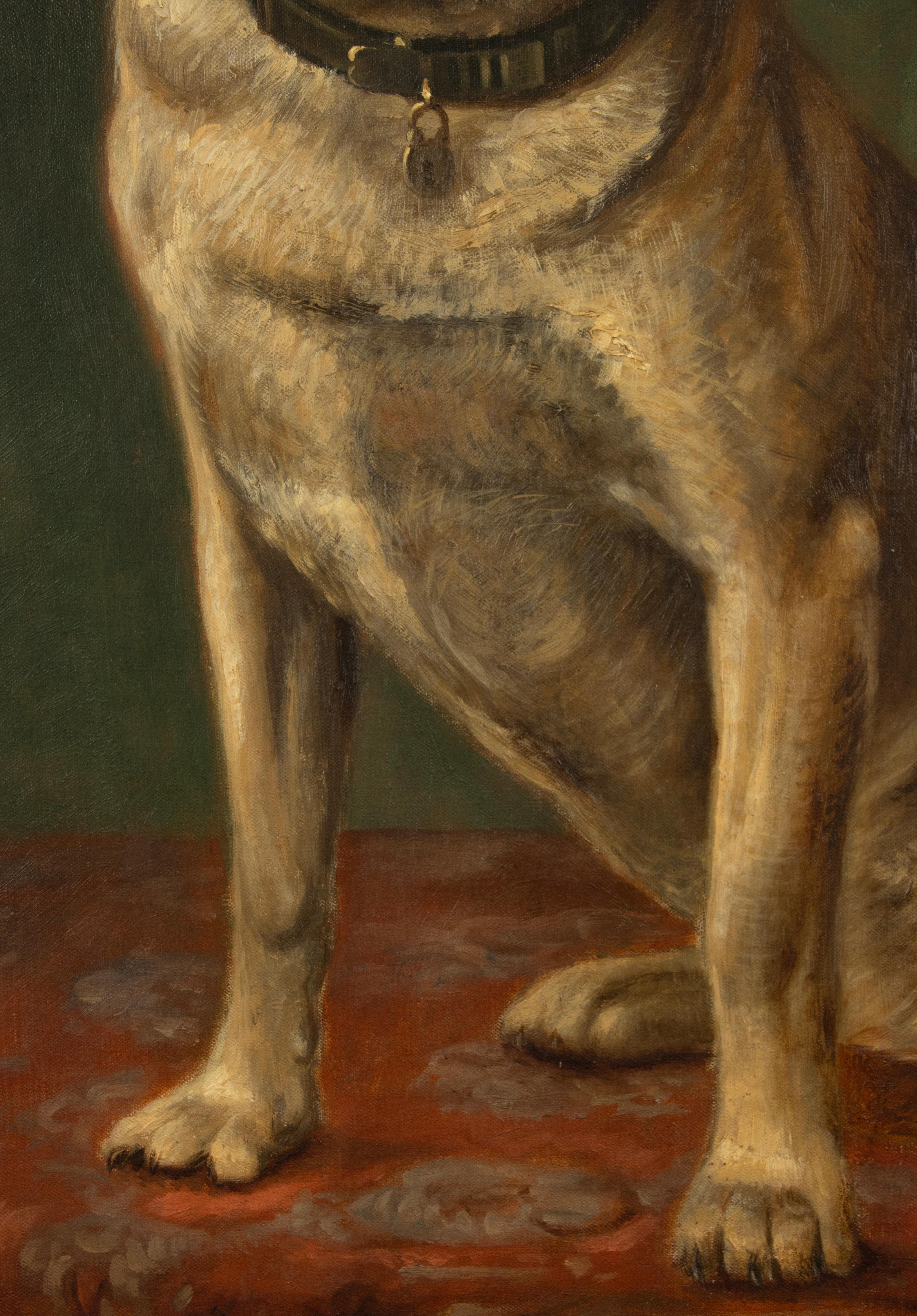 Early 20th Century Oil Painting - Portrait of a Dog 2