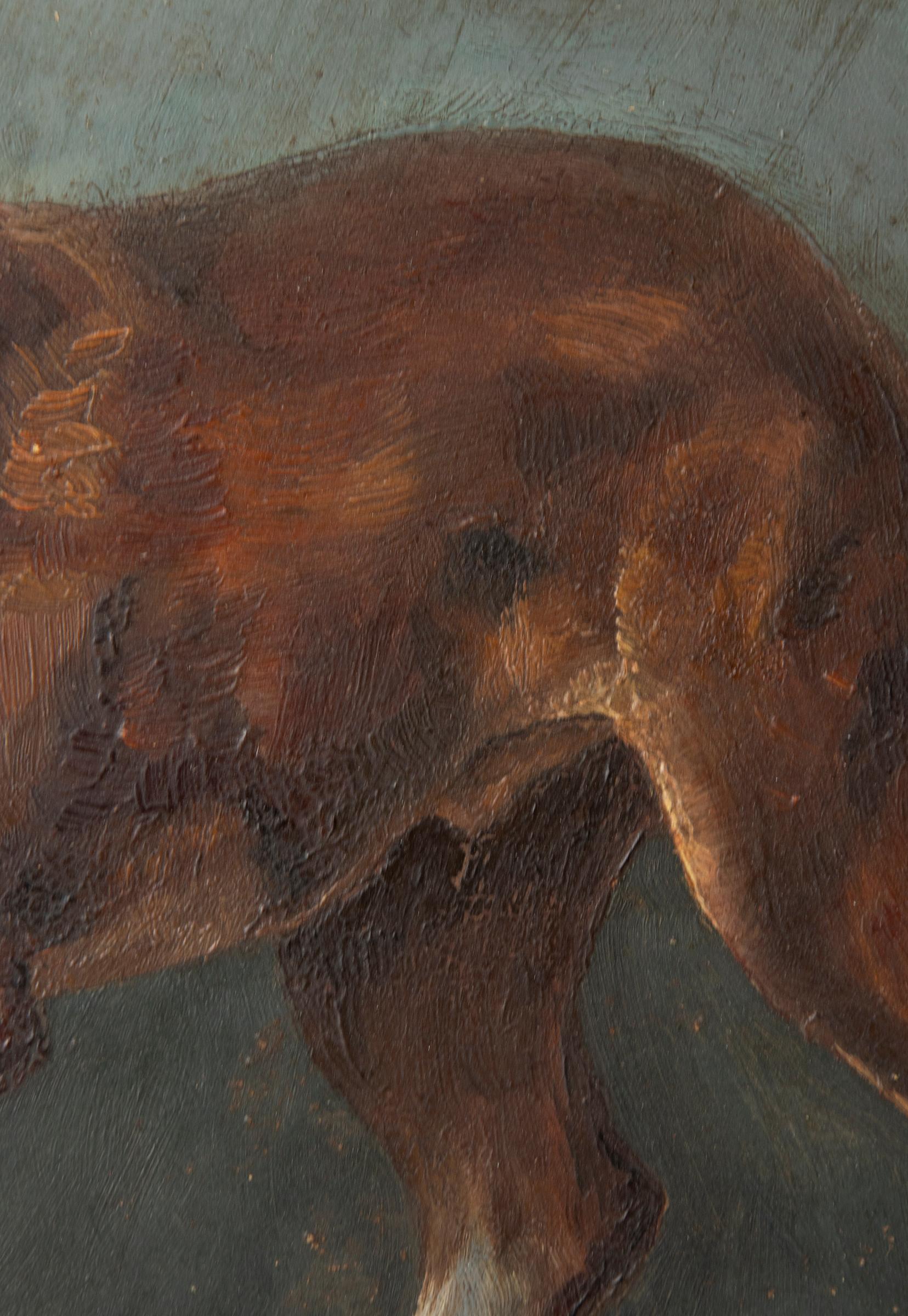 Early 20th Century Oil Painting St Bernard Dog, Hedwig Grünzweig 7