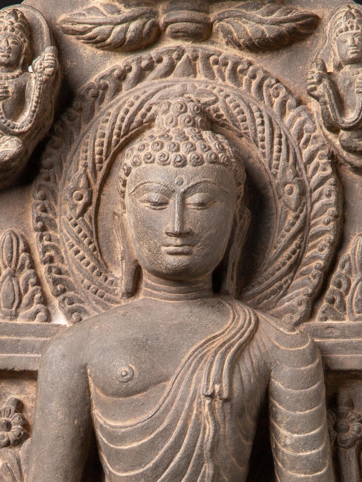 Early 20th century old Indian stone Buddha panel in Pala style  3