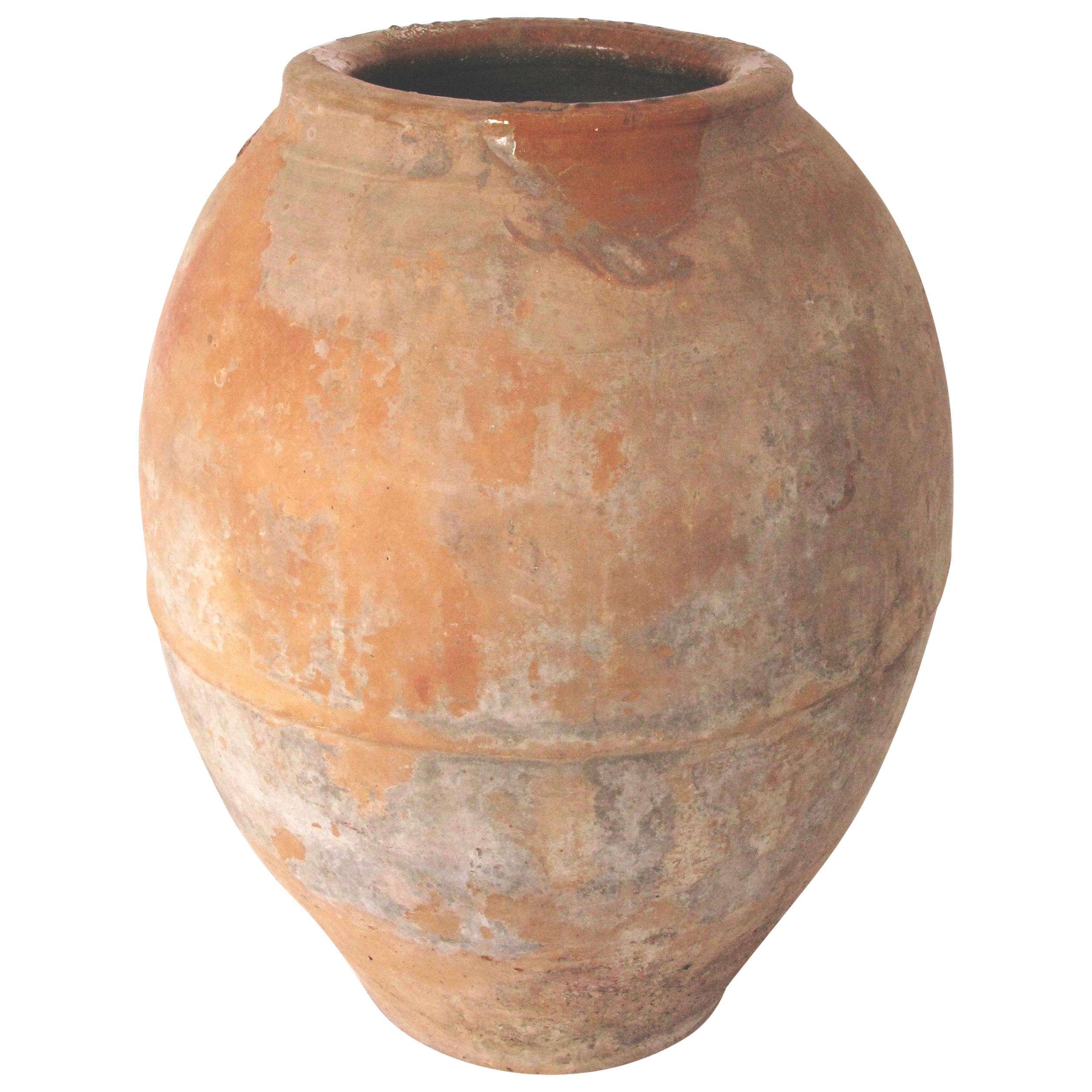 Early 20th Century Olive Pot from Spain, Stone Rose Color Terracotta, Original