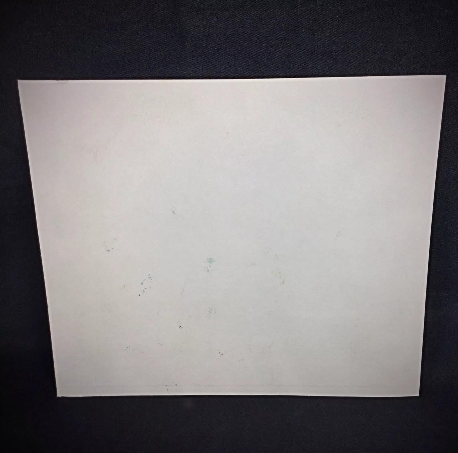 Lithographie/Stickerei des frühen 20. Jahrhunderts oder früher von P. Schenk - 2Y311 im Angebot 5
