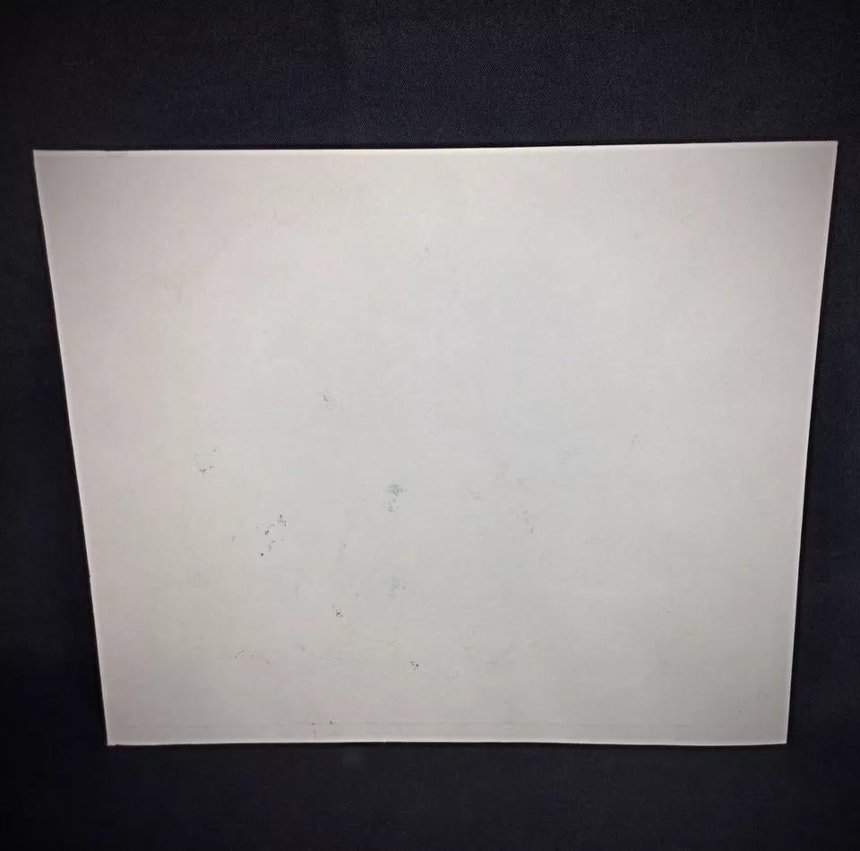 Diese schöne Lithographie oder Gravur, die dem Künstler P. Schenk zugeschrieben wird, stellt ein zeitloses Kunstwerk aus dem frühen 20. Jahrhundert oder möglicherweise früher dar. Das Kunstwerk zeigt komplizierte Details, die Schenks Handwerkskunst