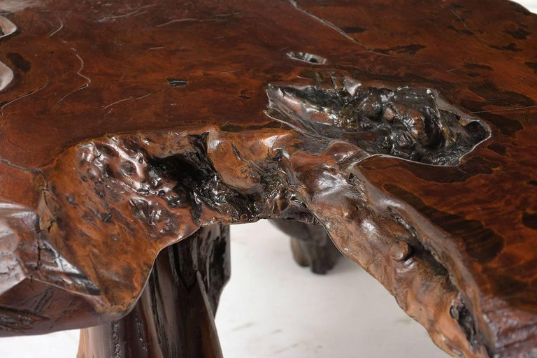 Early 20th Century Organic Tree Root Coffee Table For Sale at 1stdibs