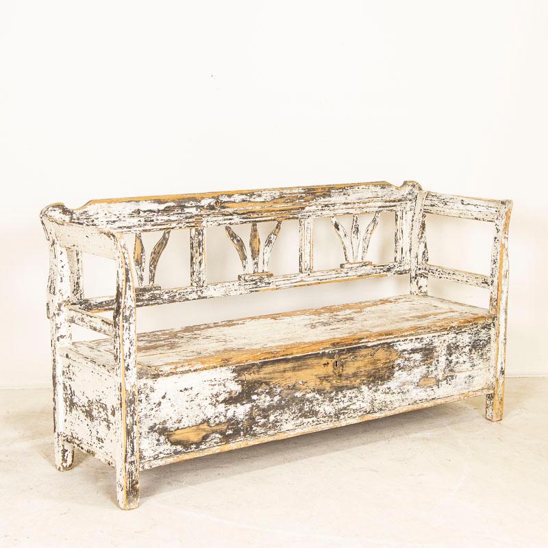 This wonderful pine bench still retains residual original white and grey paint, distressed over decades of use adding warmth to its authentic vintage feel. The open back has a tulip style back which was a traditional motif in benches throughout the