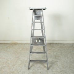 Early 20th Century Painted Library Ladder from Bibliothèque Nationale de Paris
