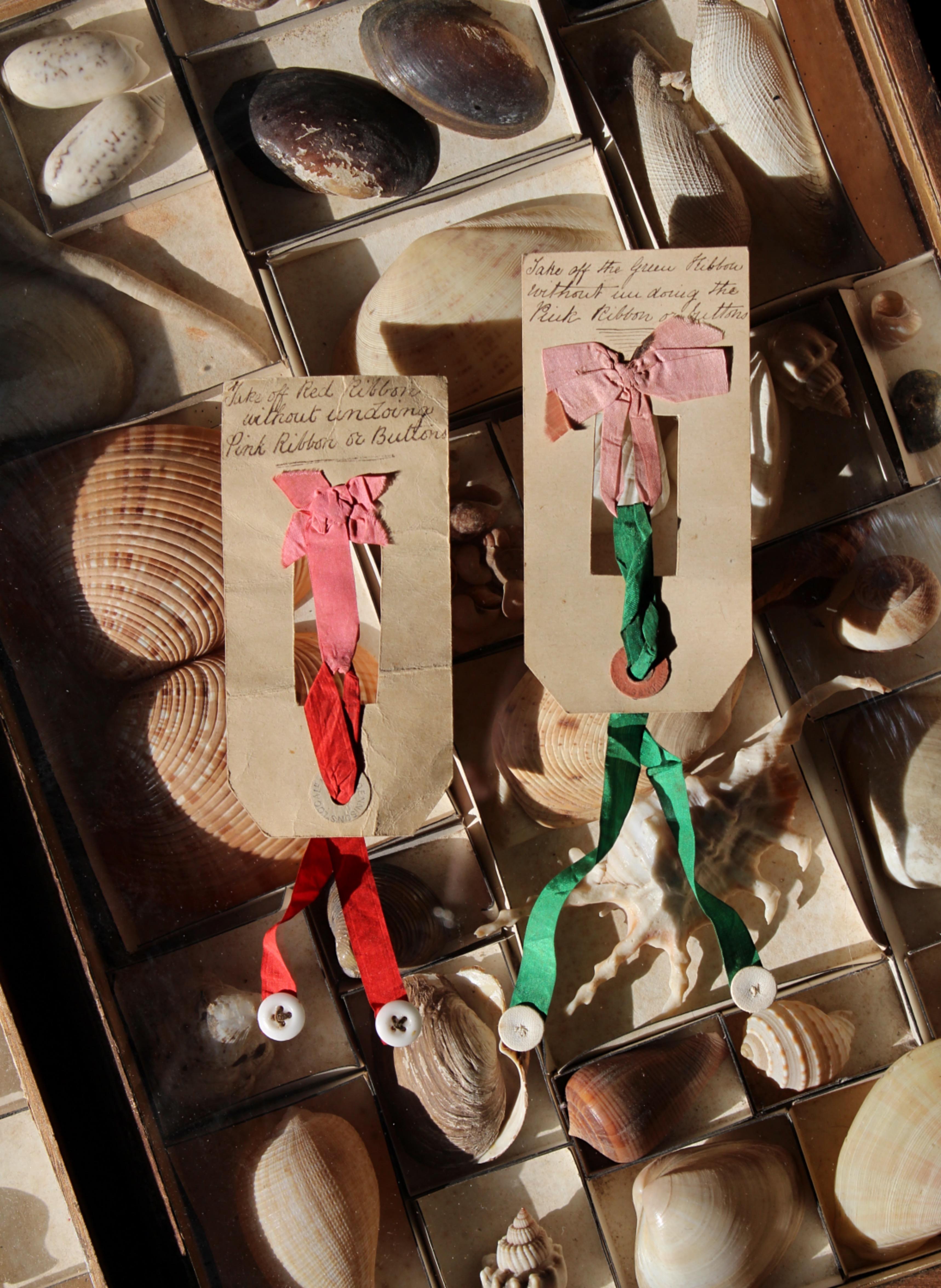 Extraño par de rompecabezas de cinta y botón de principios del siglo XX, montados en cartulina con instrucciones escritas a mano. 

los soportes para tarjetas miden 22/5,5 cm 