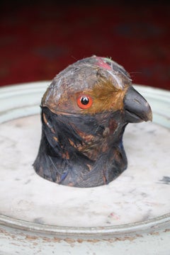 Early 20th Century Parrot Ink Well, Glass Eyes, Hand Dyed Feathers