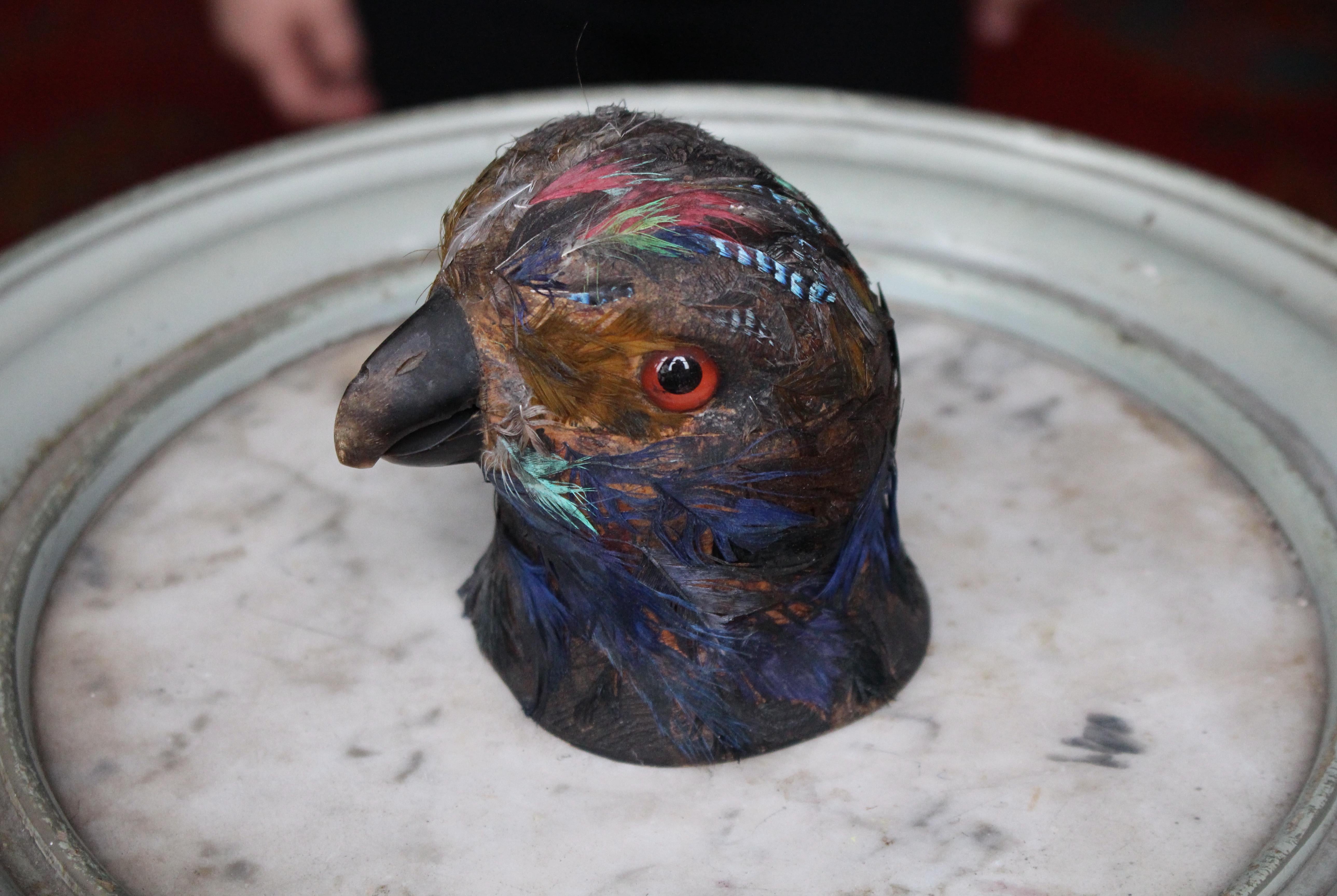 European Early 20th Century Parrot Ink Well, Glass Eyes, Hand Dyed Feathers For Sale