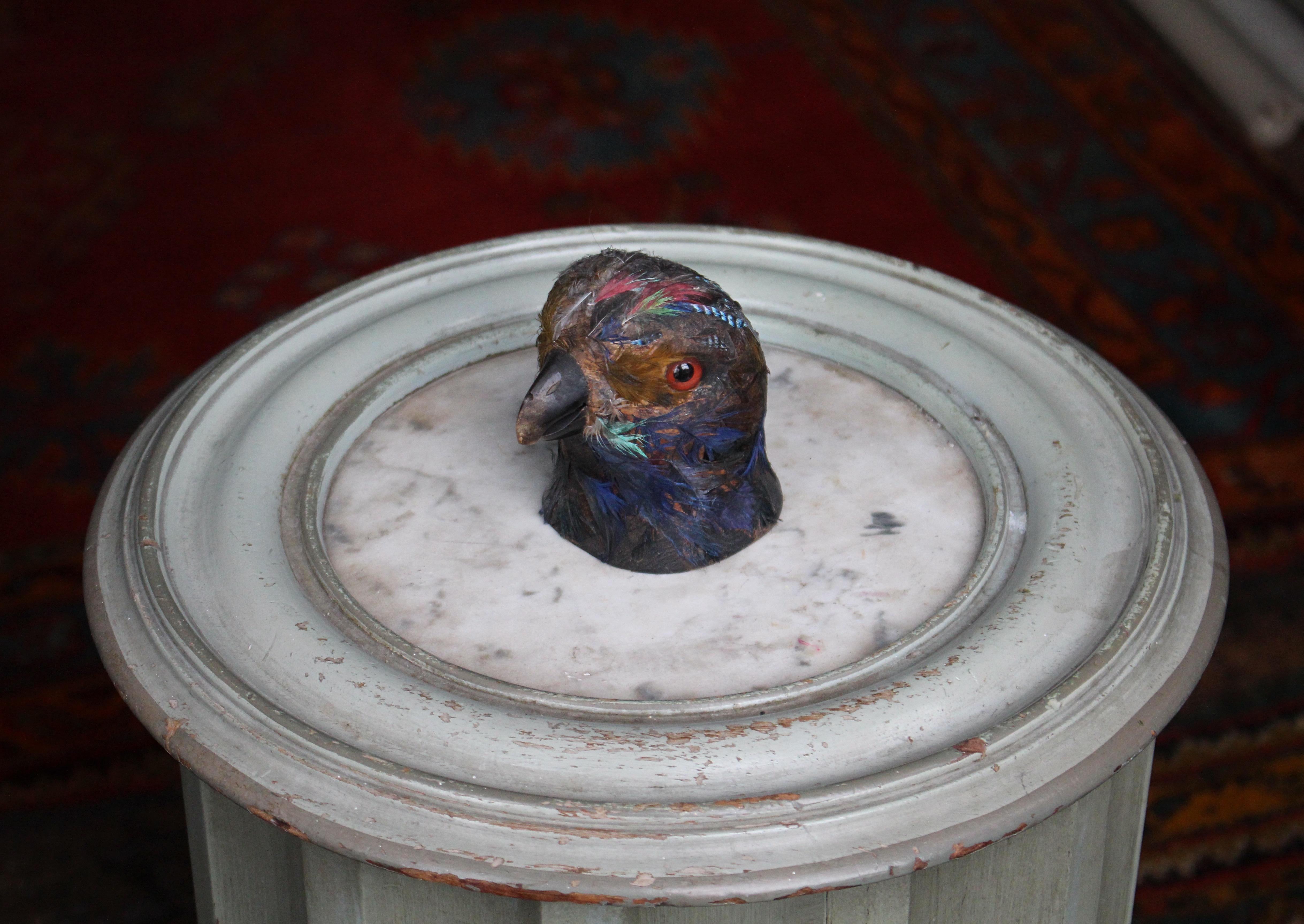 Early 20th Century Parrot Ink Well, Glass Eyes, Hand Dyed Feathers In Good Condition For Sale In Lowestoft, GB