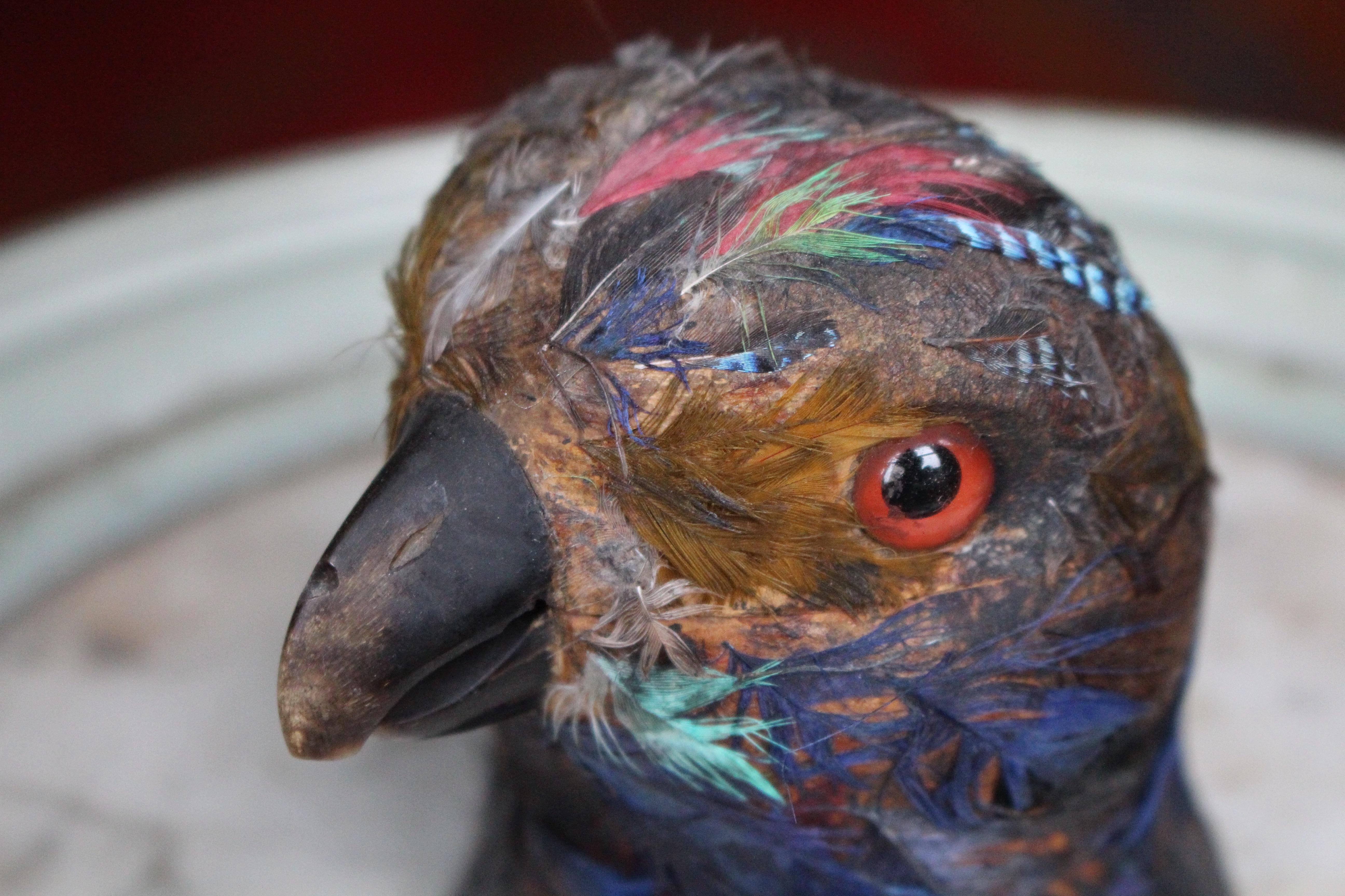Metal Early 20th Century Parrot Ink Well, Glass Eyes, Hand Dyed Feathers For Sale