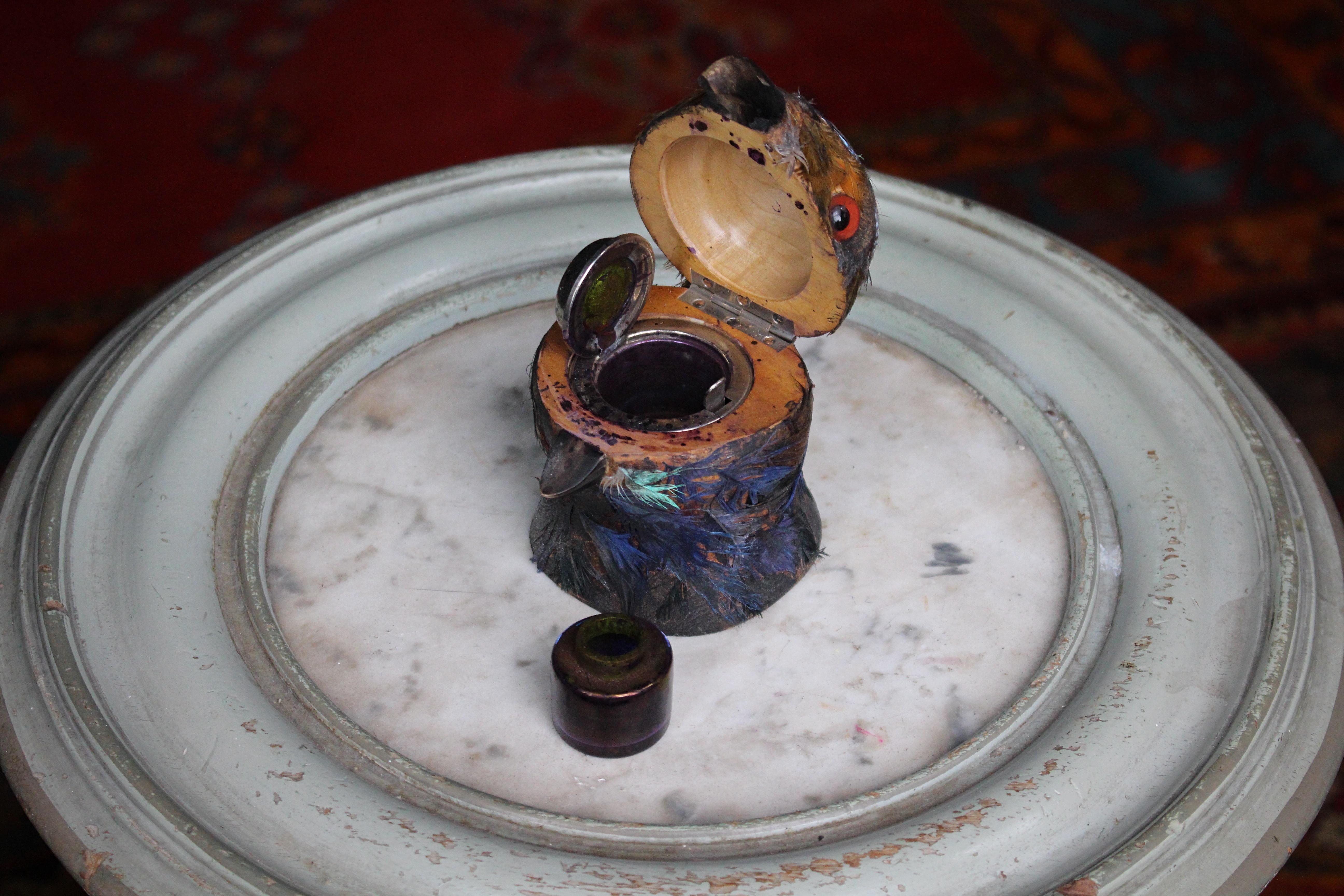 Early 20th Century Parrot Ink Well, Glass Eyes, Hand Dyed Feathers For Sale 1
