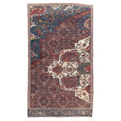 Early 20th Century Persian Bidjar Sampler Rug