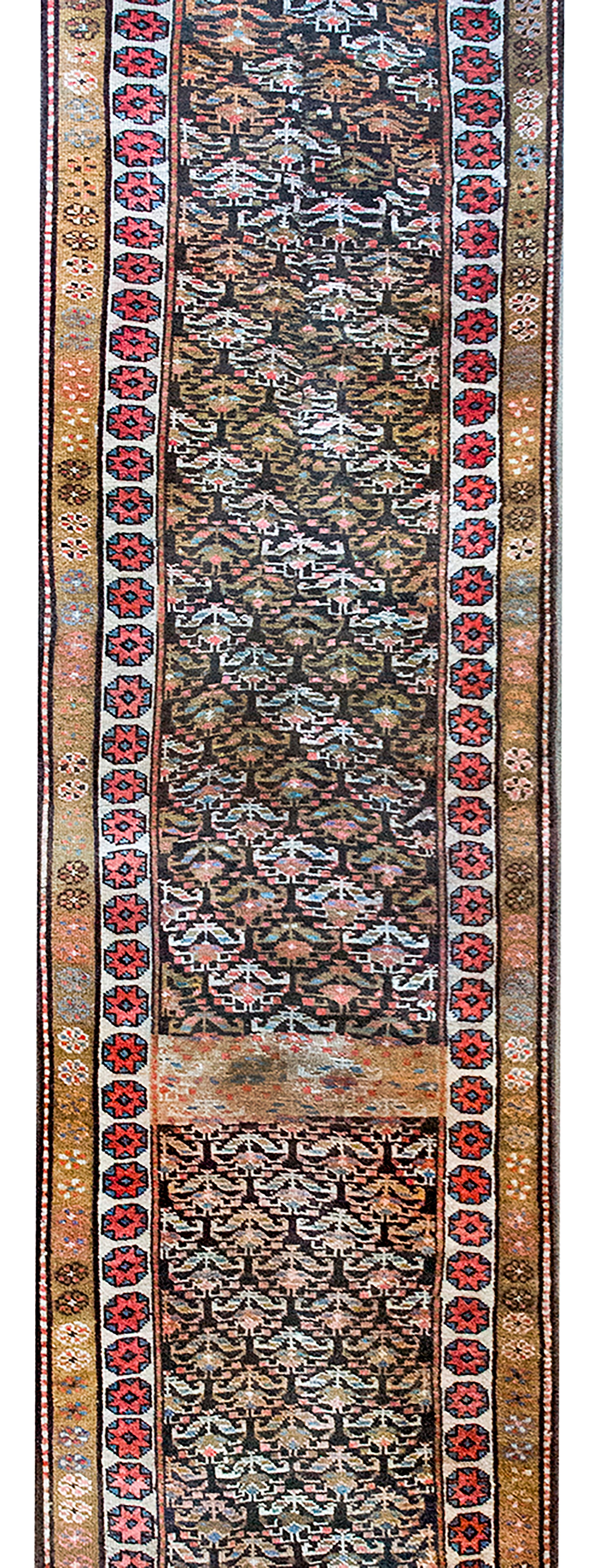 Questo runner curdo dell'inizio del XX secolo è un affascinante esempio di artigianato tribale, tessuto da artigiani curdi provenienti dalle aspre regioni di Iran, Iraq, Turchia e Siria. Rinomati per i loro disegni audaci e i colori vivaci, i