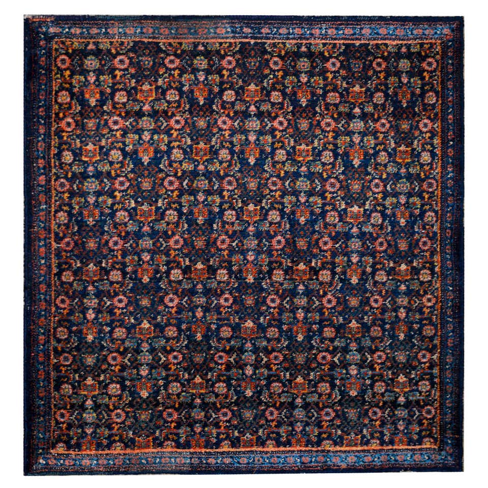 Early 20th Century Senneh Rug For Sale at 1stDibs