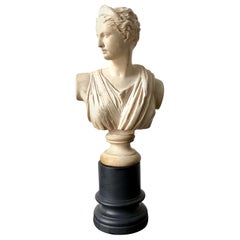 Early 20th Century Plaster Grand Tour Bust of Artemis