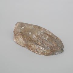 Gipshand aus dem frühen 20. Jahrhundert (Italien)