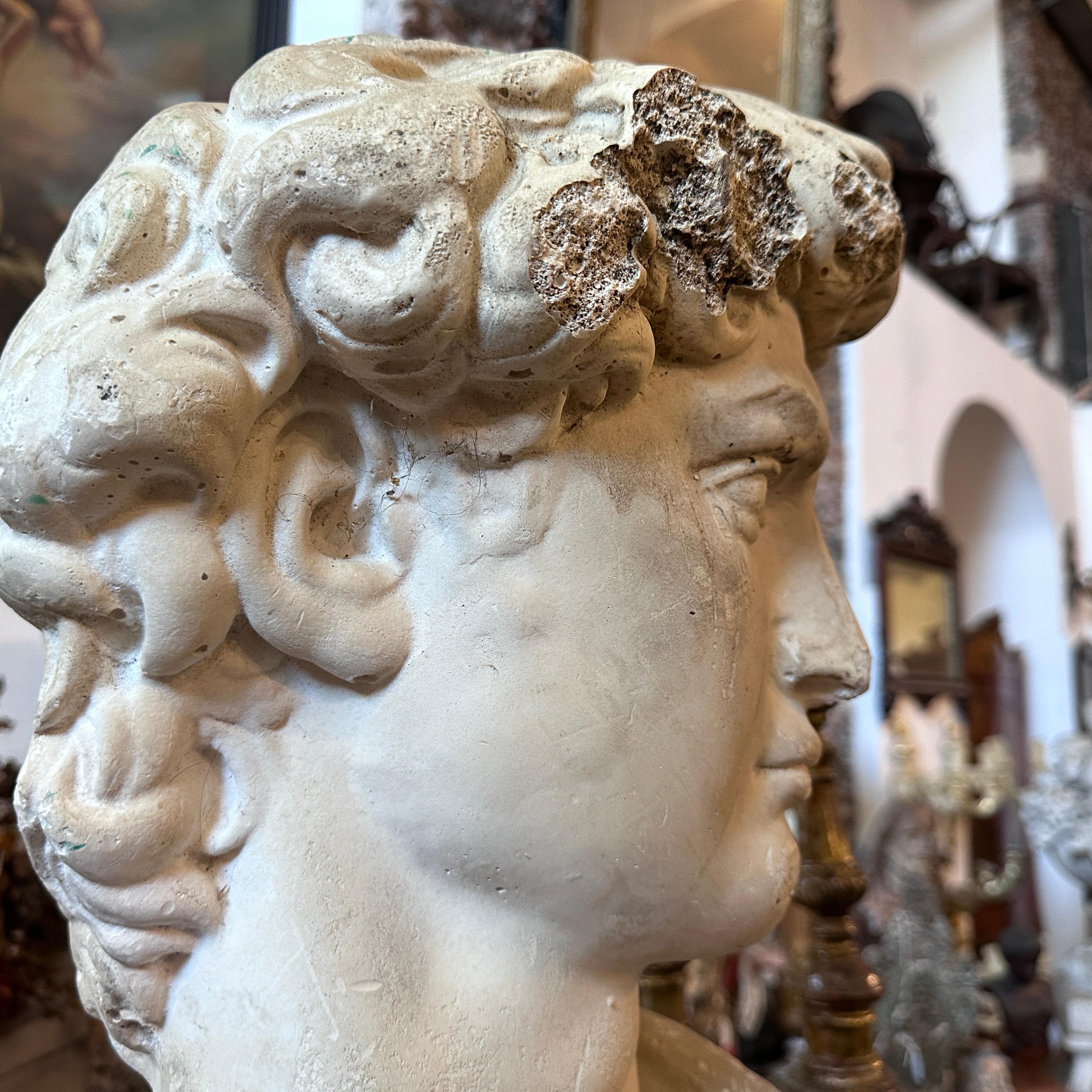 Early 20th Century Plaster Sculpture of the Bust of David by Michelangelo 7