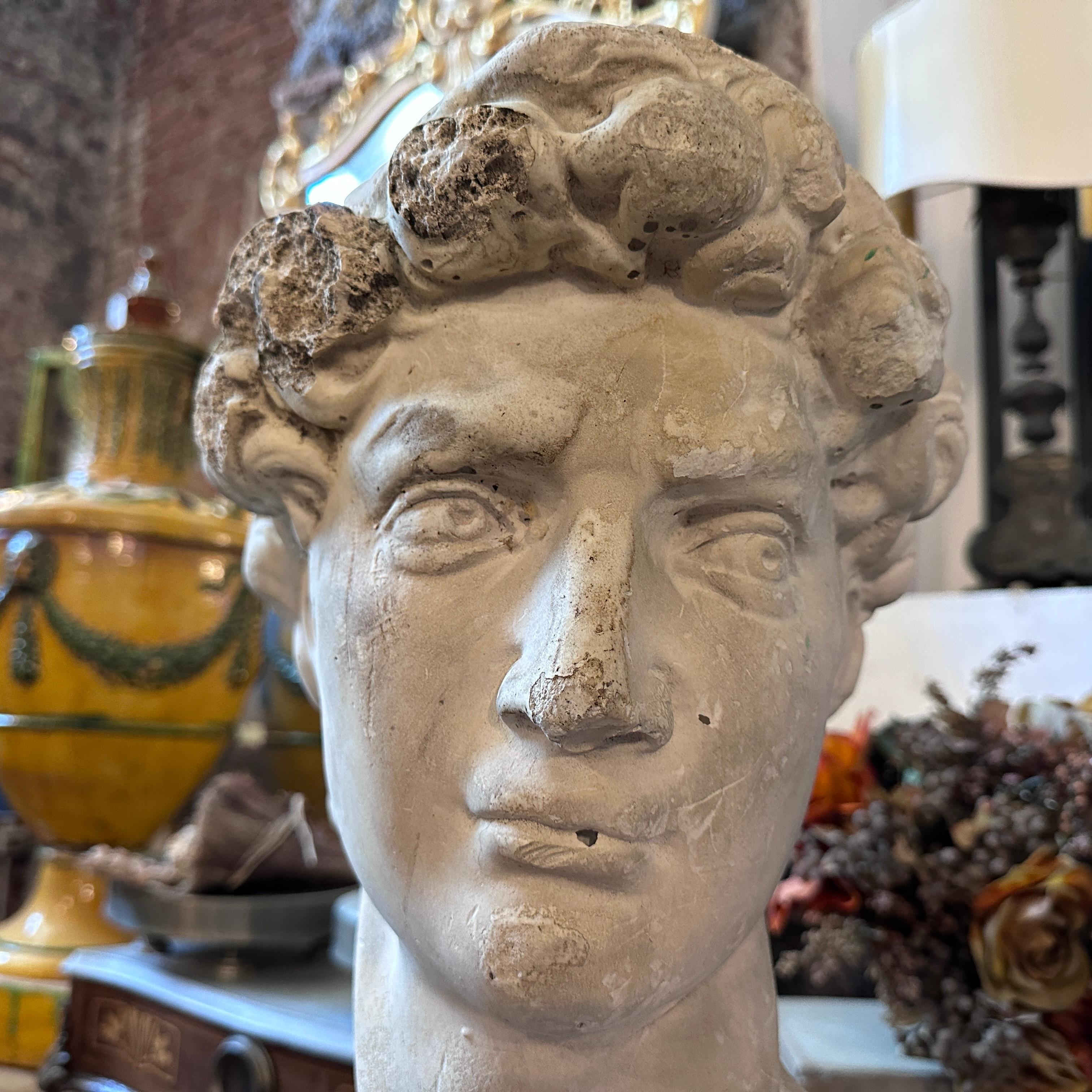 Italian Early 20th Century Plaster Sculpture of the Bust of David by Michelangelo