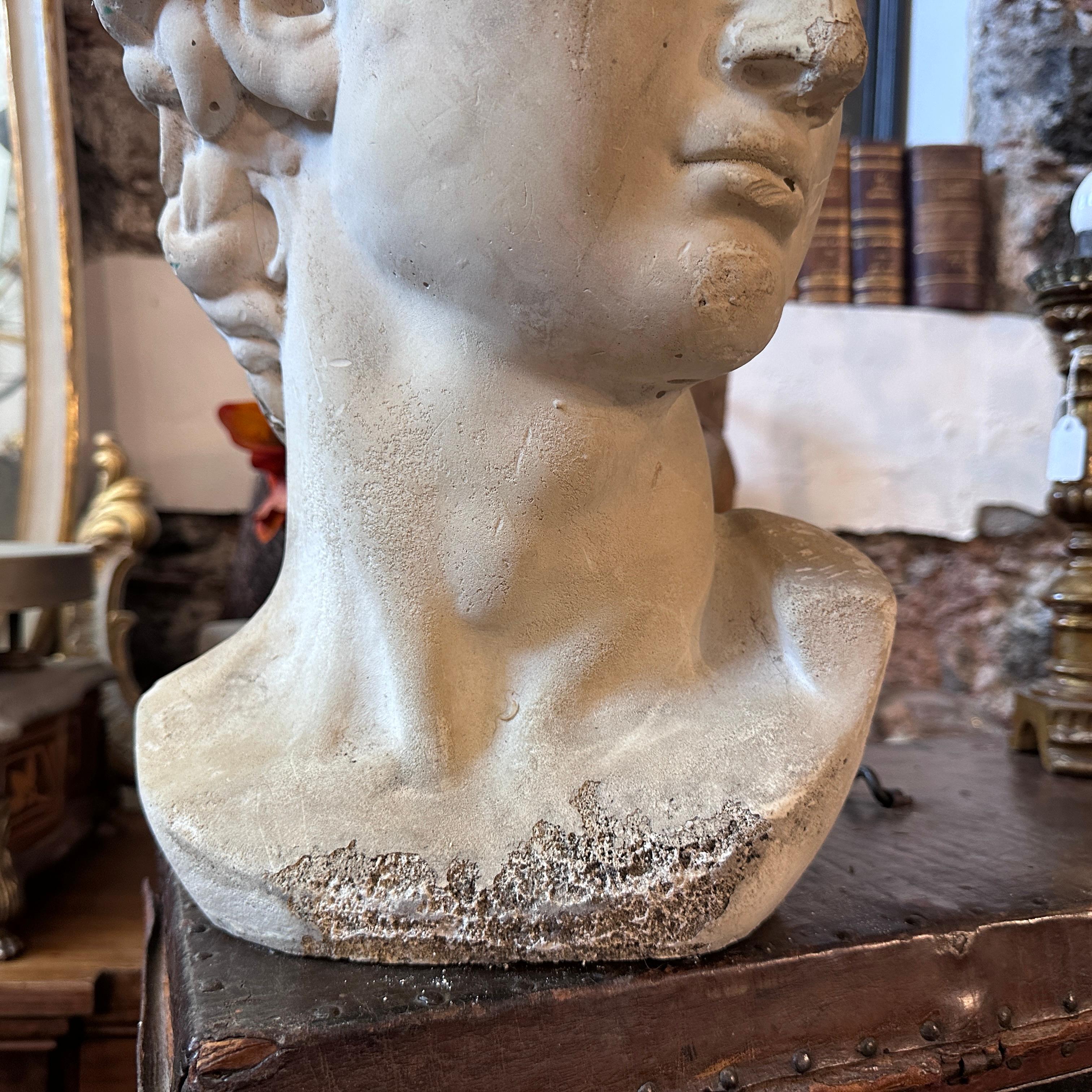Early 20th Century Plaster Sculpture of the Bust of David by Michelangelo 1