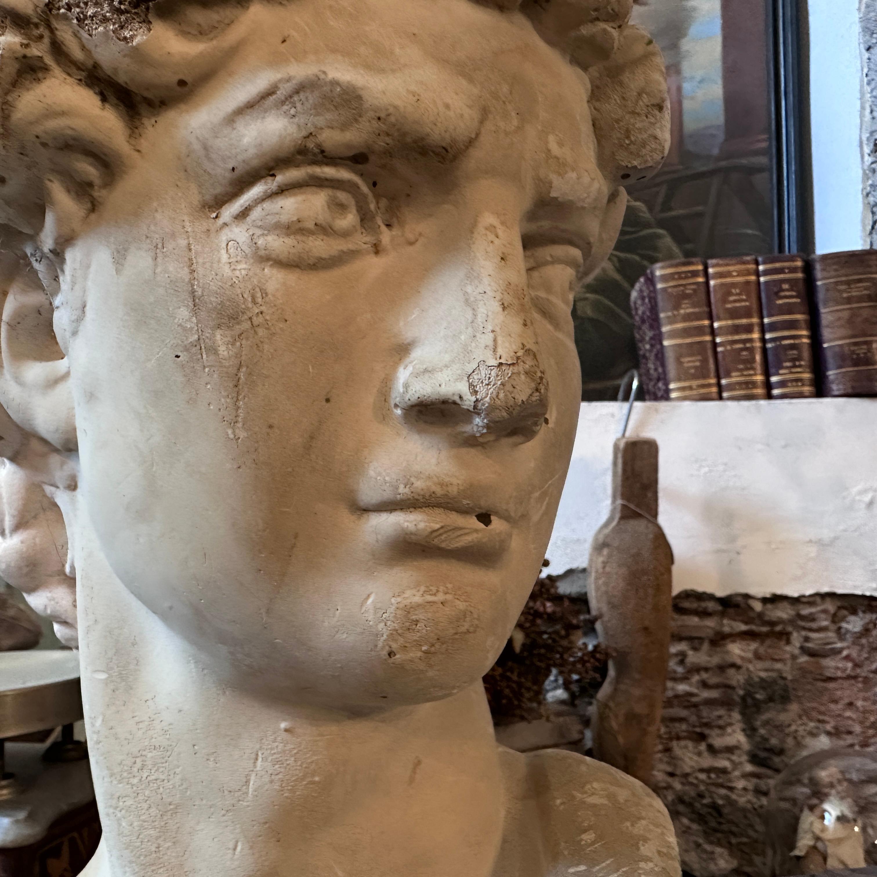 Early 20th Century Plaster Sculpture of the Bust of David by Michelangelo 2