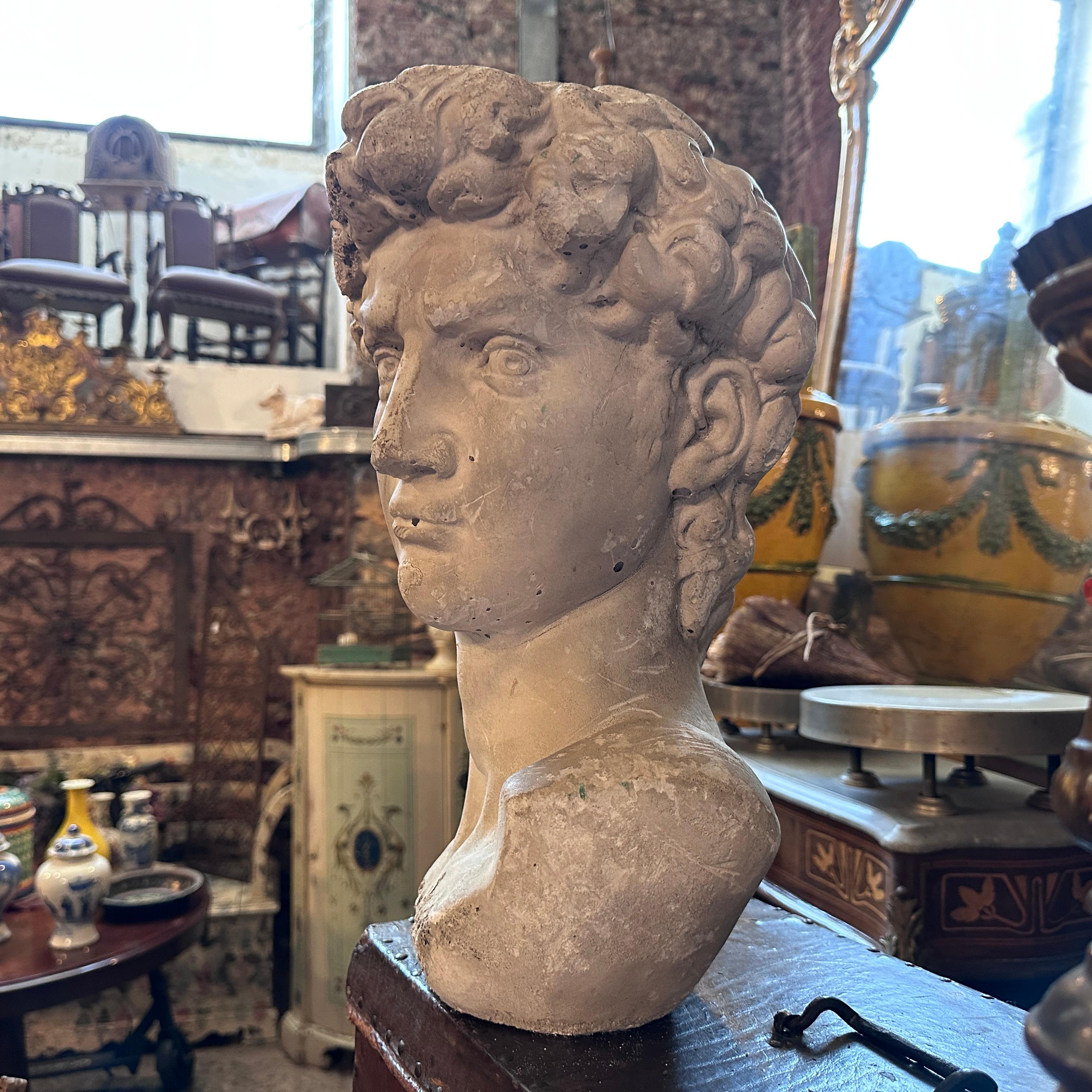 Early 20th Century Plaster Sculpture of the Bust of David by Michelangelo 3