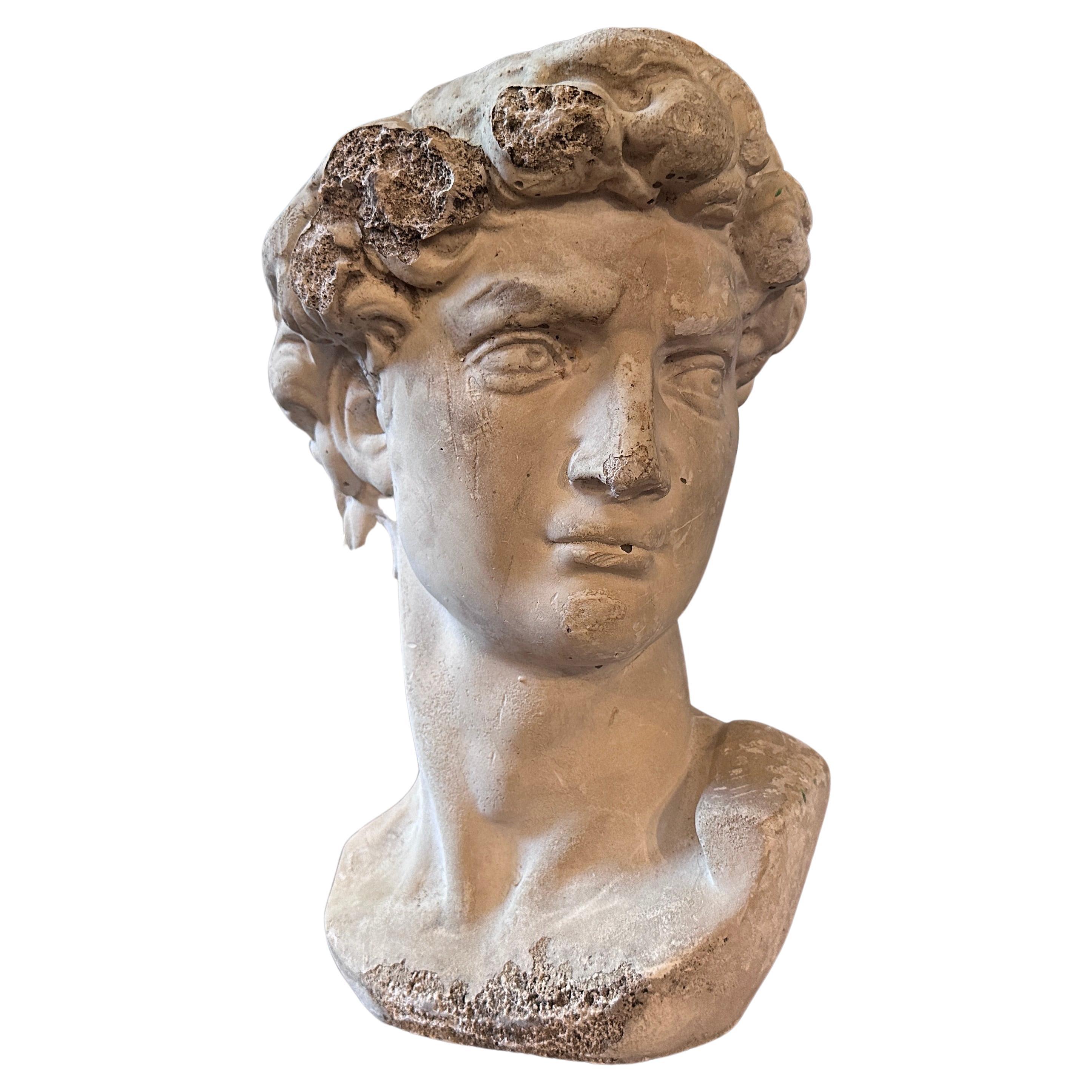 Early 20th Century Plaster Sculpture of the Bust of David by Michelangelo