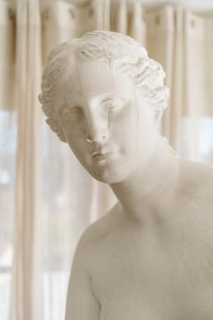 Early 20th Century Plaster Statue, Venus de Milo