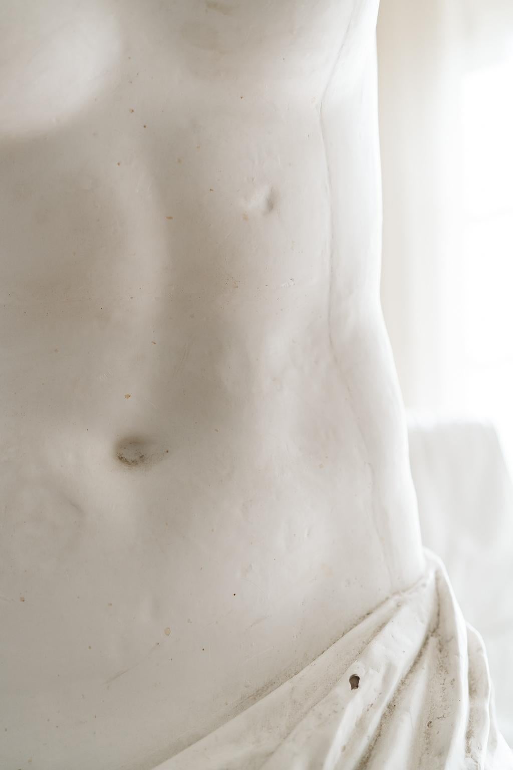 Early 20th Century Plaster Statue, Venus de Milo For Sale 9