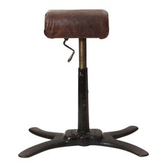 Early 20th Century Pommel Horse